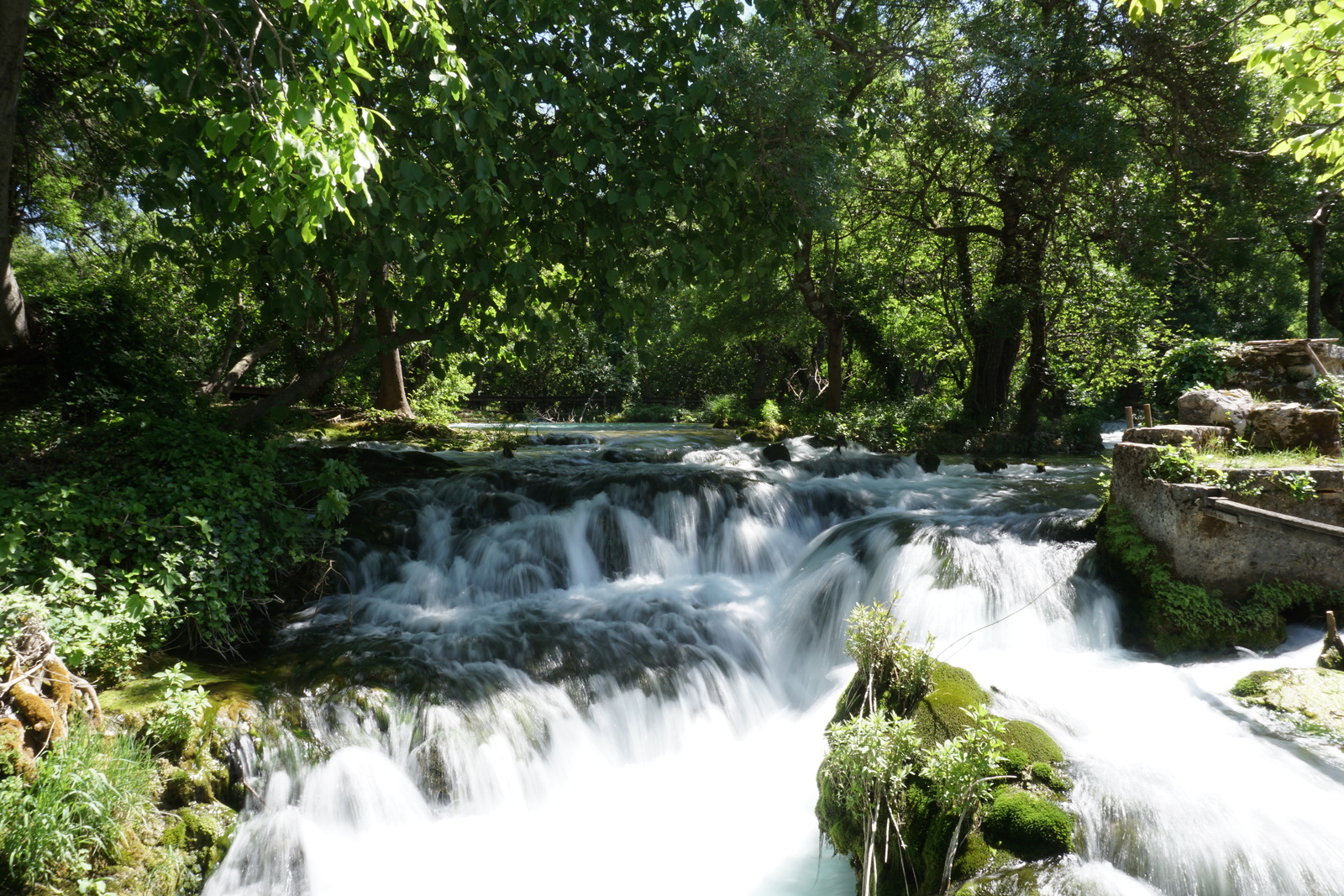 Picture Croatia Krka National Park 2016-04 142 - Discover Krka National Park