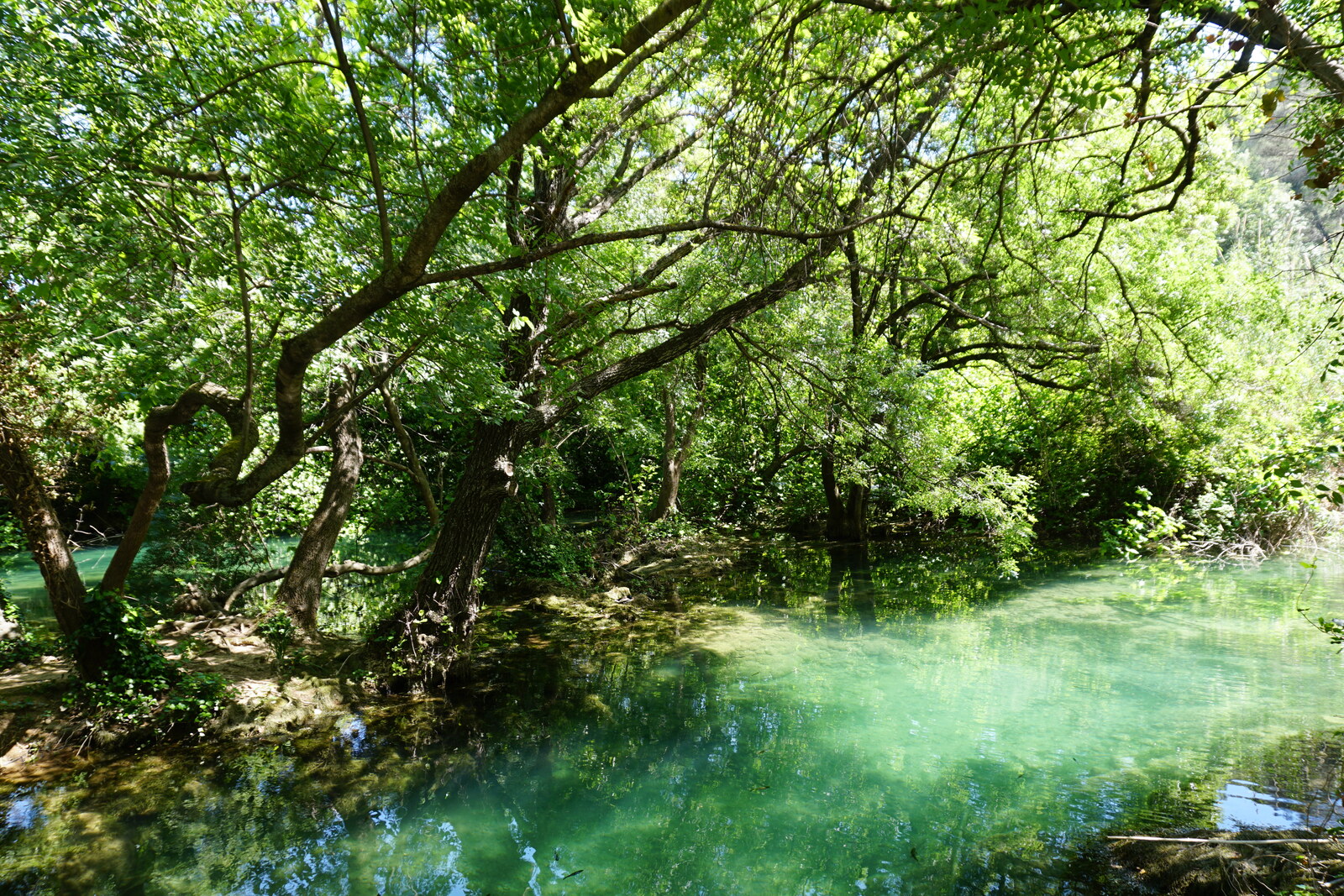 Picture Croatia Krka National Park 2016-04 153 - Pictures Krka National Park