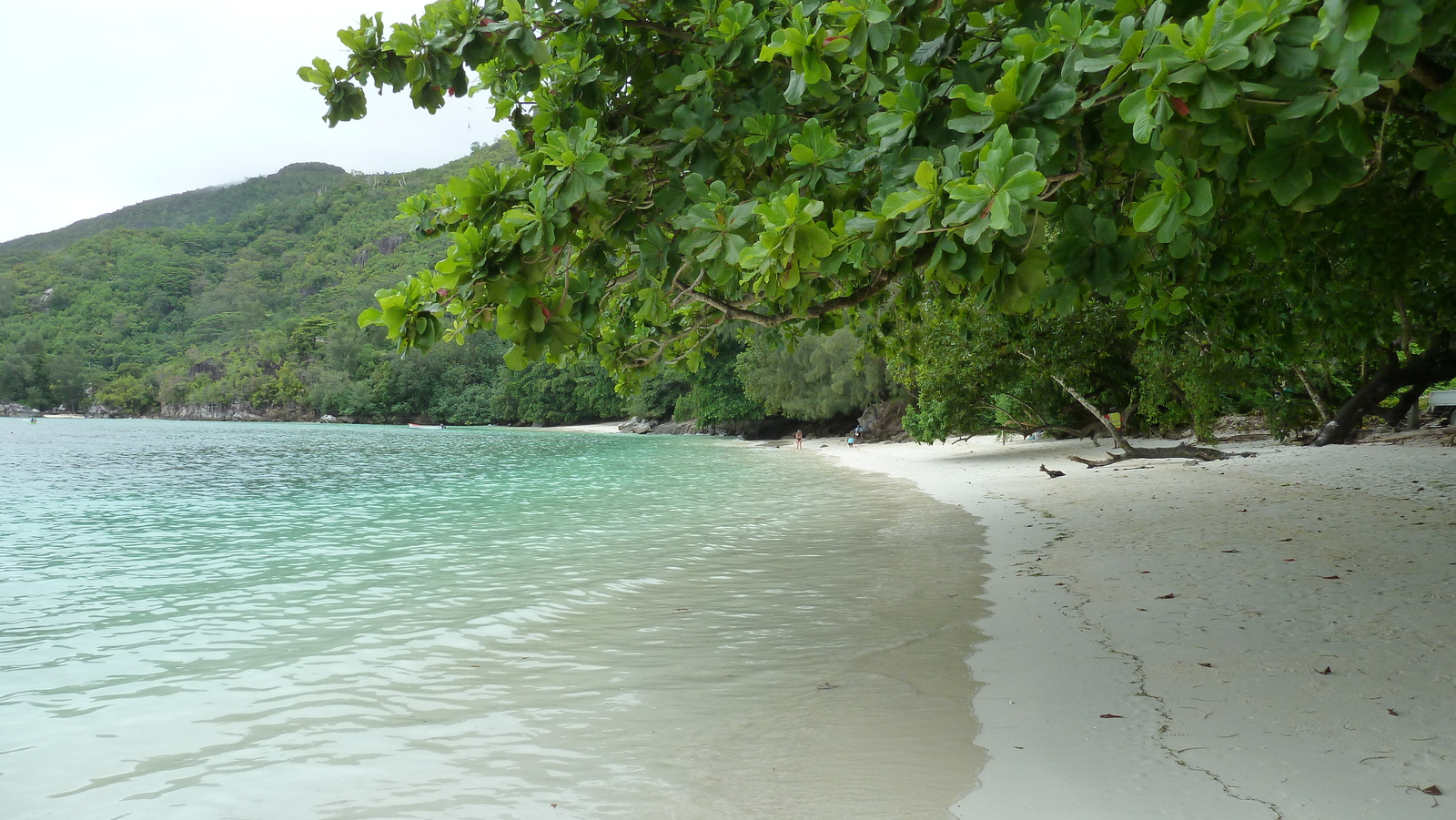 Picture Seychelles Mahe 2011-10 2 - Randonee Mahe