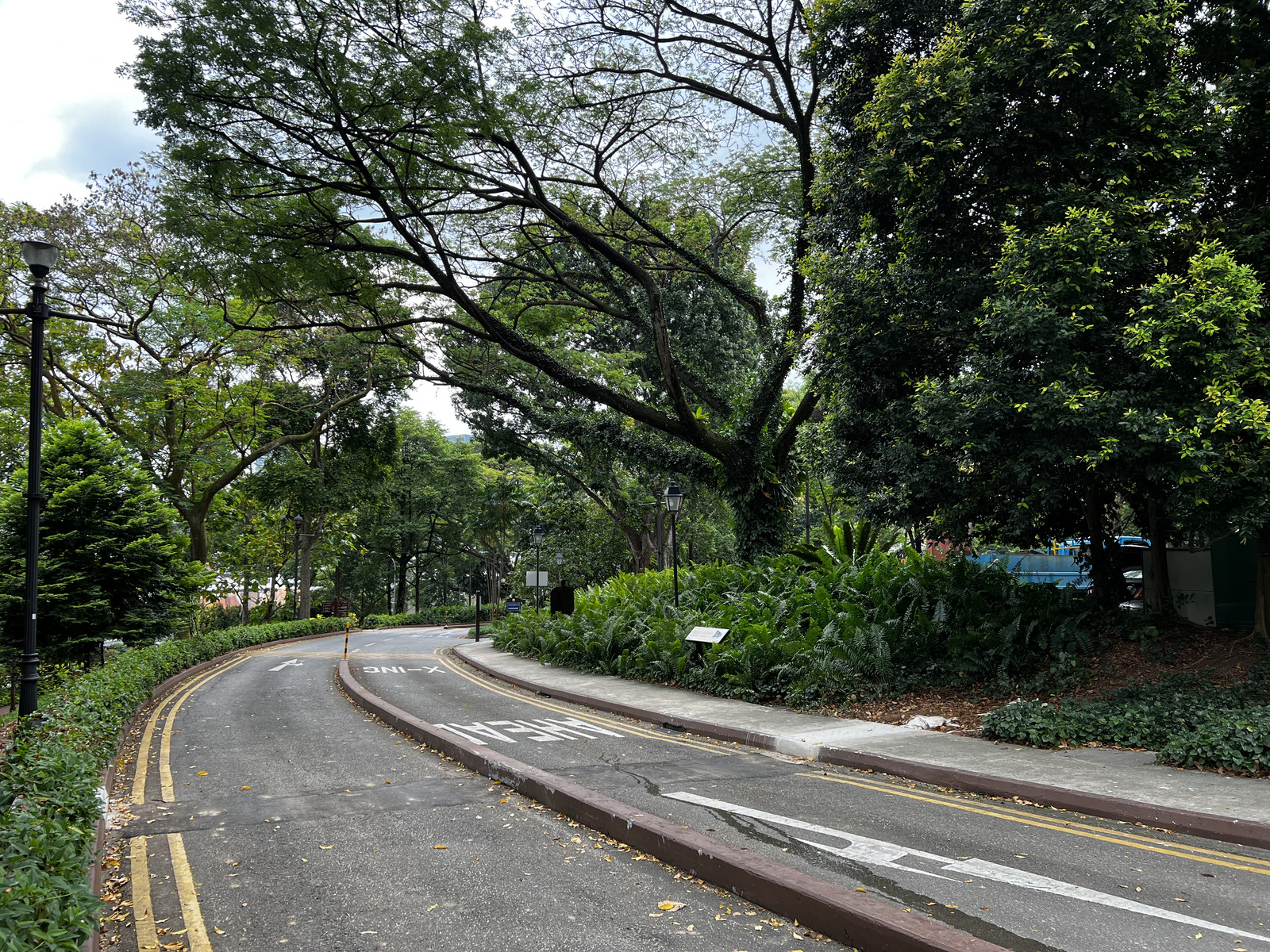 Picture Singapore Fort Canning Park 2023-01 14 - Perspective Fort Canning Park