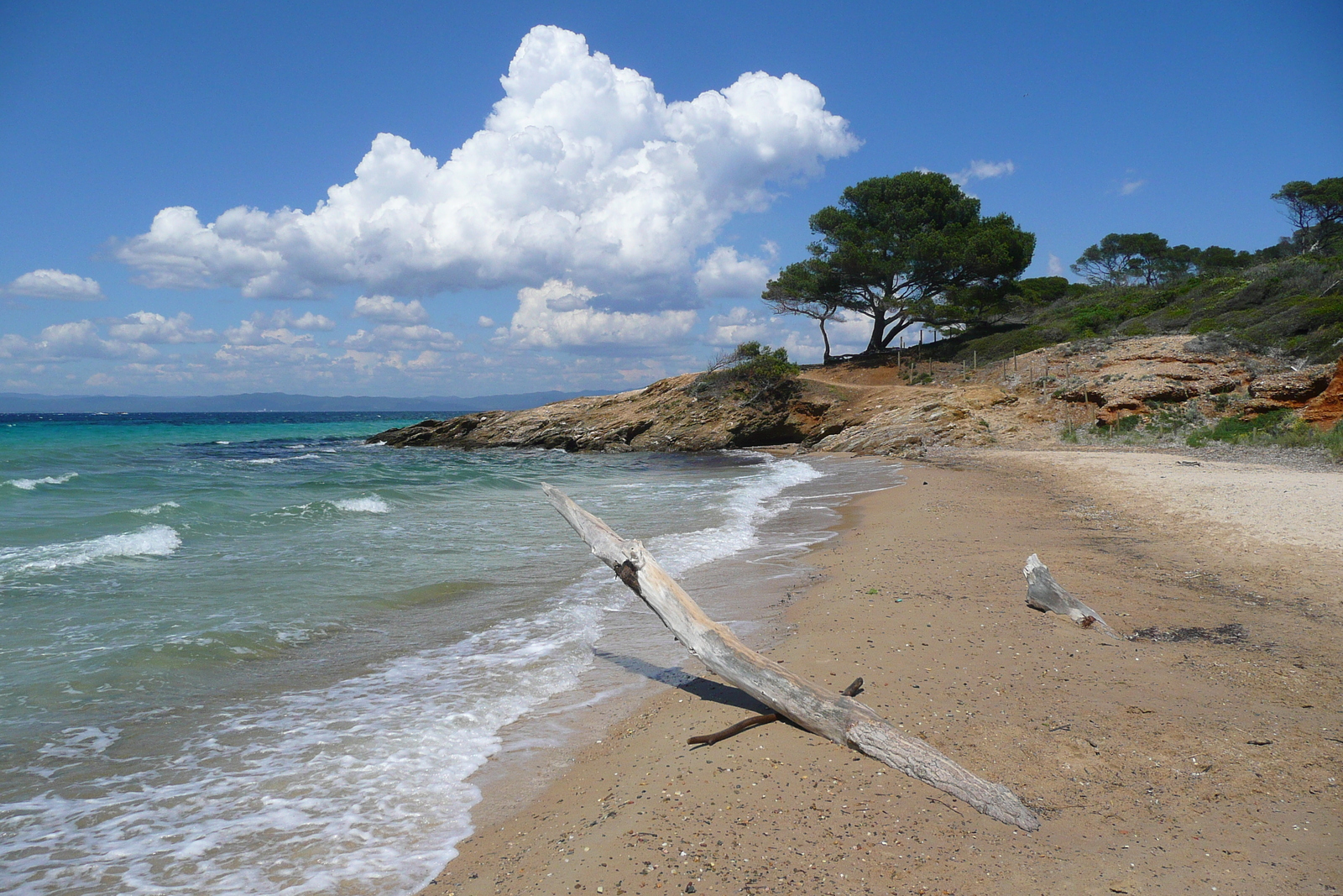 Picture France Porquerolles Island Courtade beach 2008-05 30 - Tourist Attraction Courtade beach