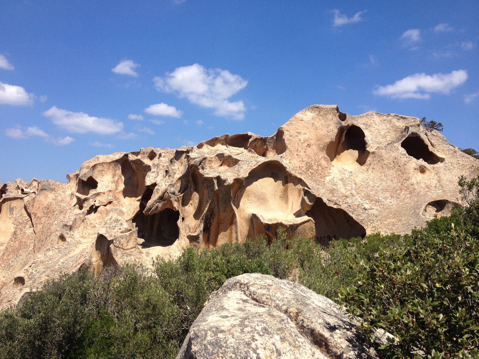 Picture Italy Sardinia Roccia dell'Orso 2015-06 54 - Pictures Roccia dell'Orso