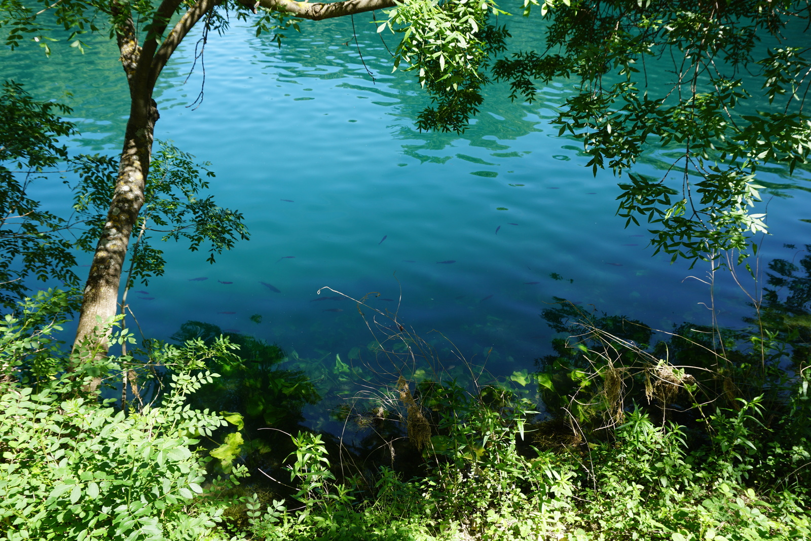 Picture Croatia Krka National Park 2016-04 10 - Trail Krka National Park