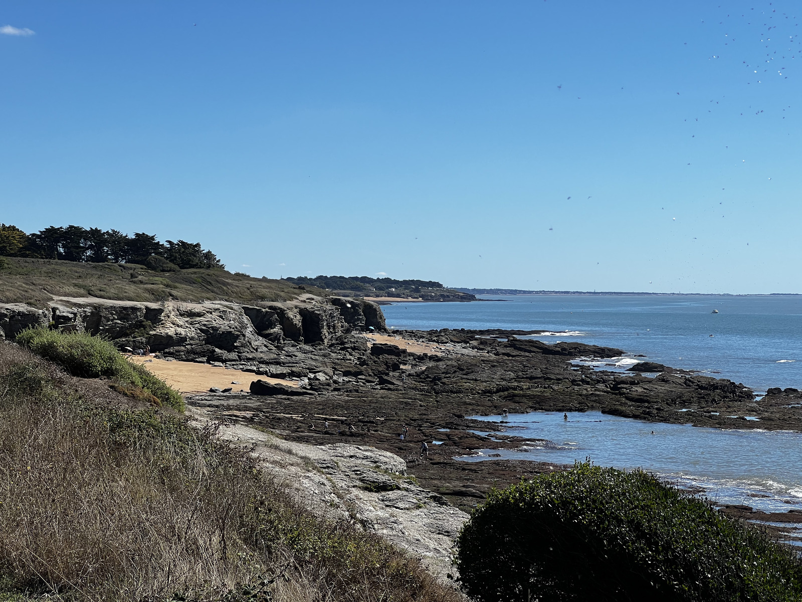 Picture France La Plaine sur mer 2022-09 73 - Photos La Plaine sur mer