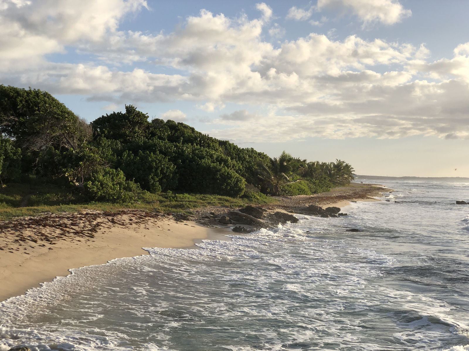 Picture Guadeloupe Saint Francois 2021-02 6 - Photos Saint Francois