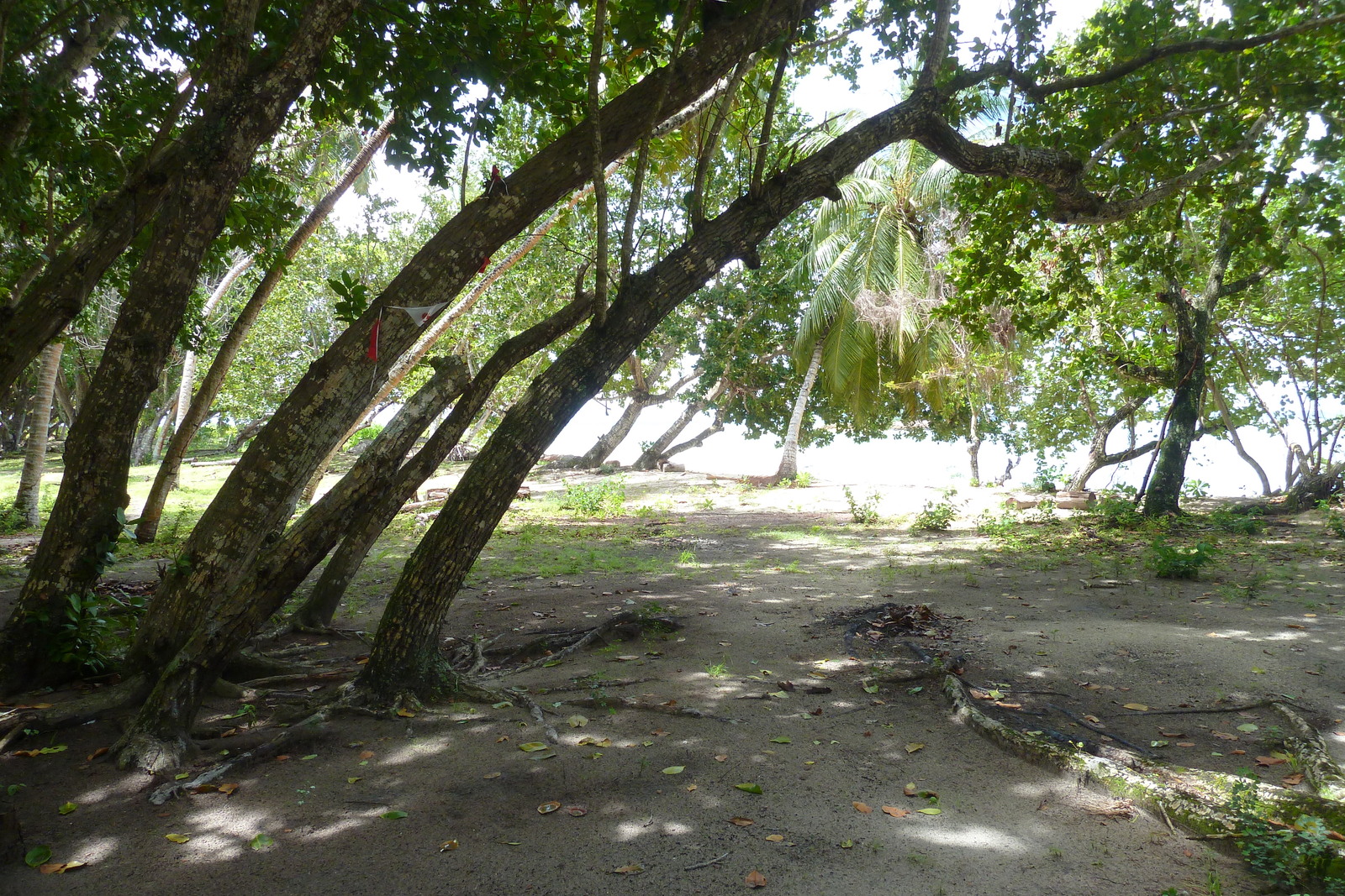 Picture Seychelles La Digue 2011-10 118 - Road La Digue