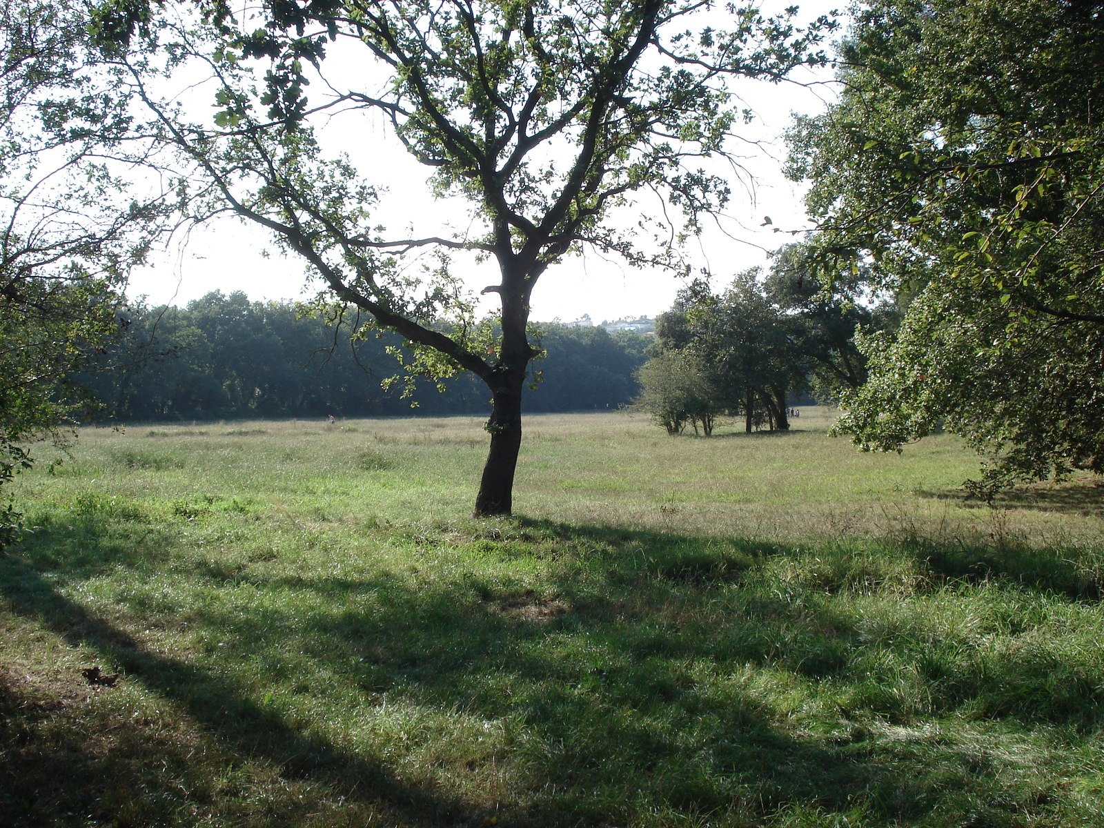 Picture France Villeneuve Loubet Parc de Vaugrenier 2006-09 2 - Randonee Parc de Vaugrenier