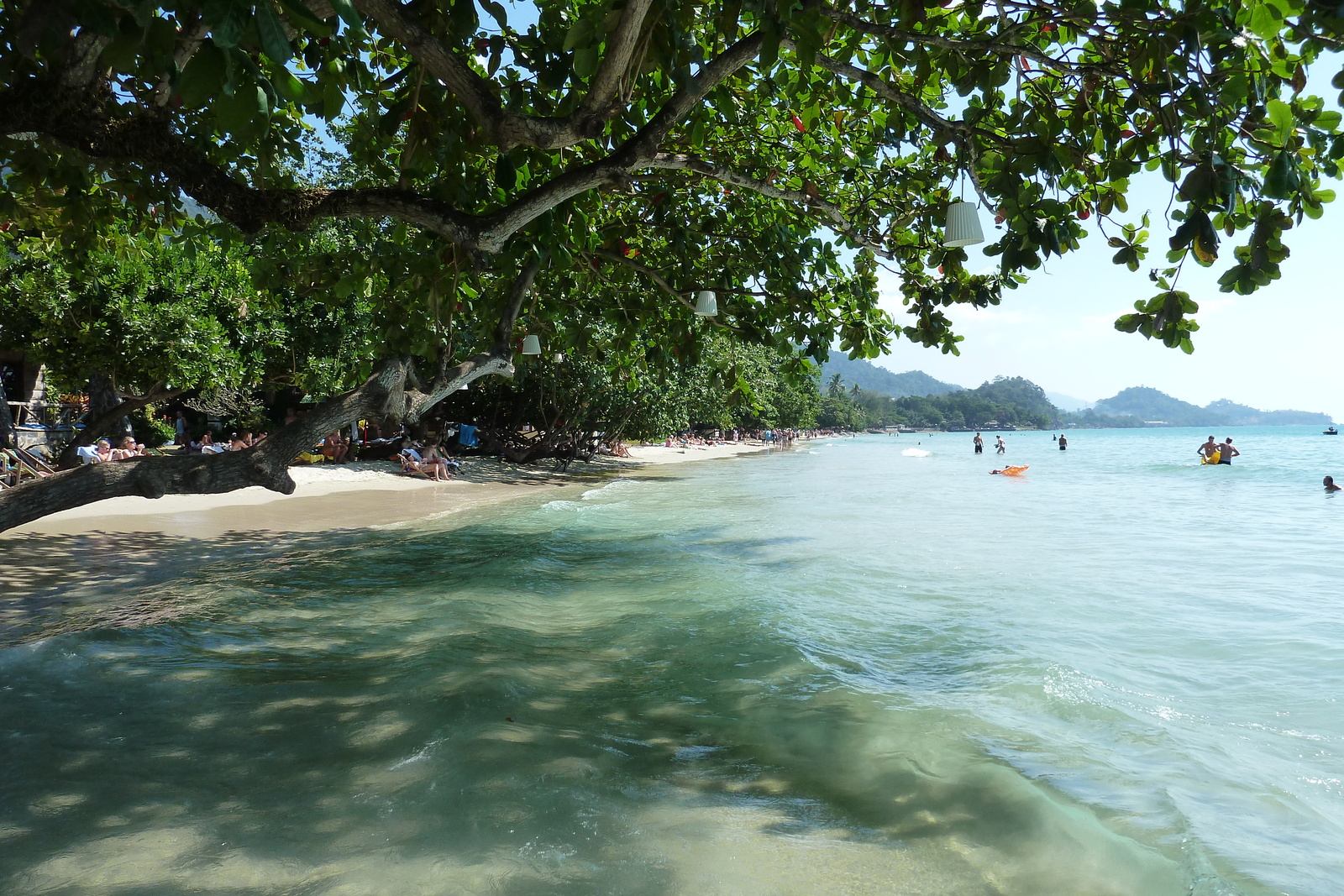 Picture Thailand Ko Chang 2011-01 63 - Trail Ko Chang