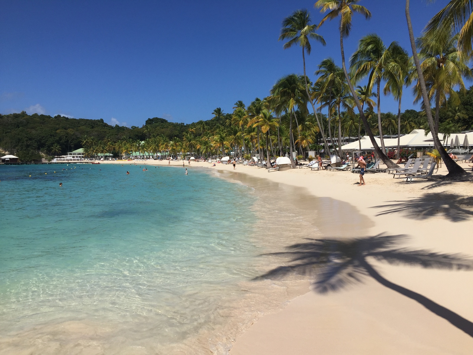 Picture Guadeloupe La Caravelle Beach 2021-02 38 - Sight La Caravelle Beach