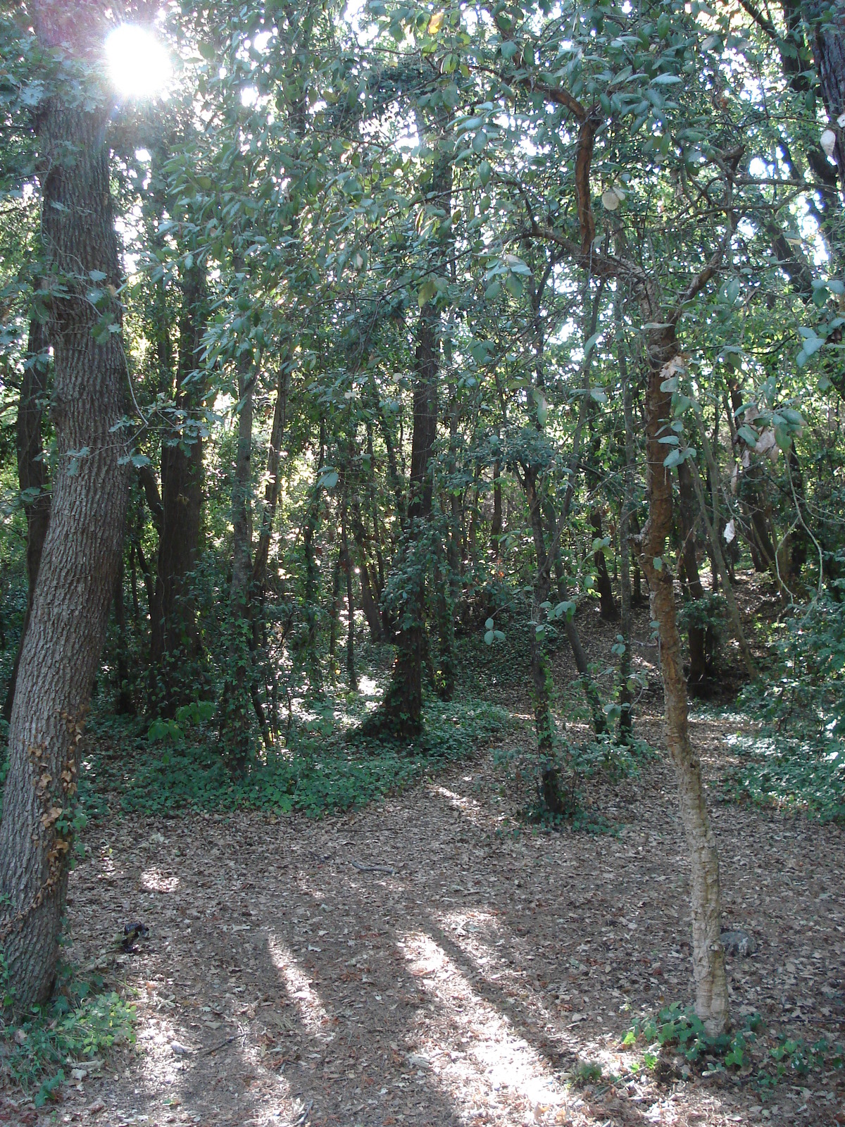 Picture France Villeneuve Loubet Parc de Vaugrenier 2006-09 11 - Pictures Parc de Vaugrenier