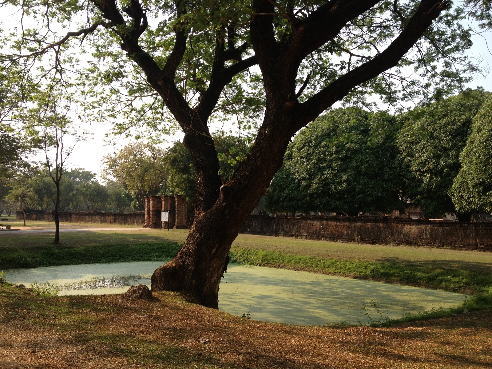 Picture Thailand Sukhothai 2014-02 29 - Travels Sukhothai