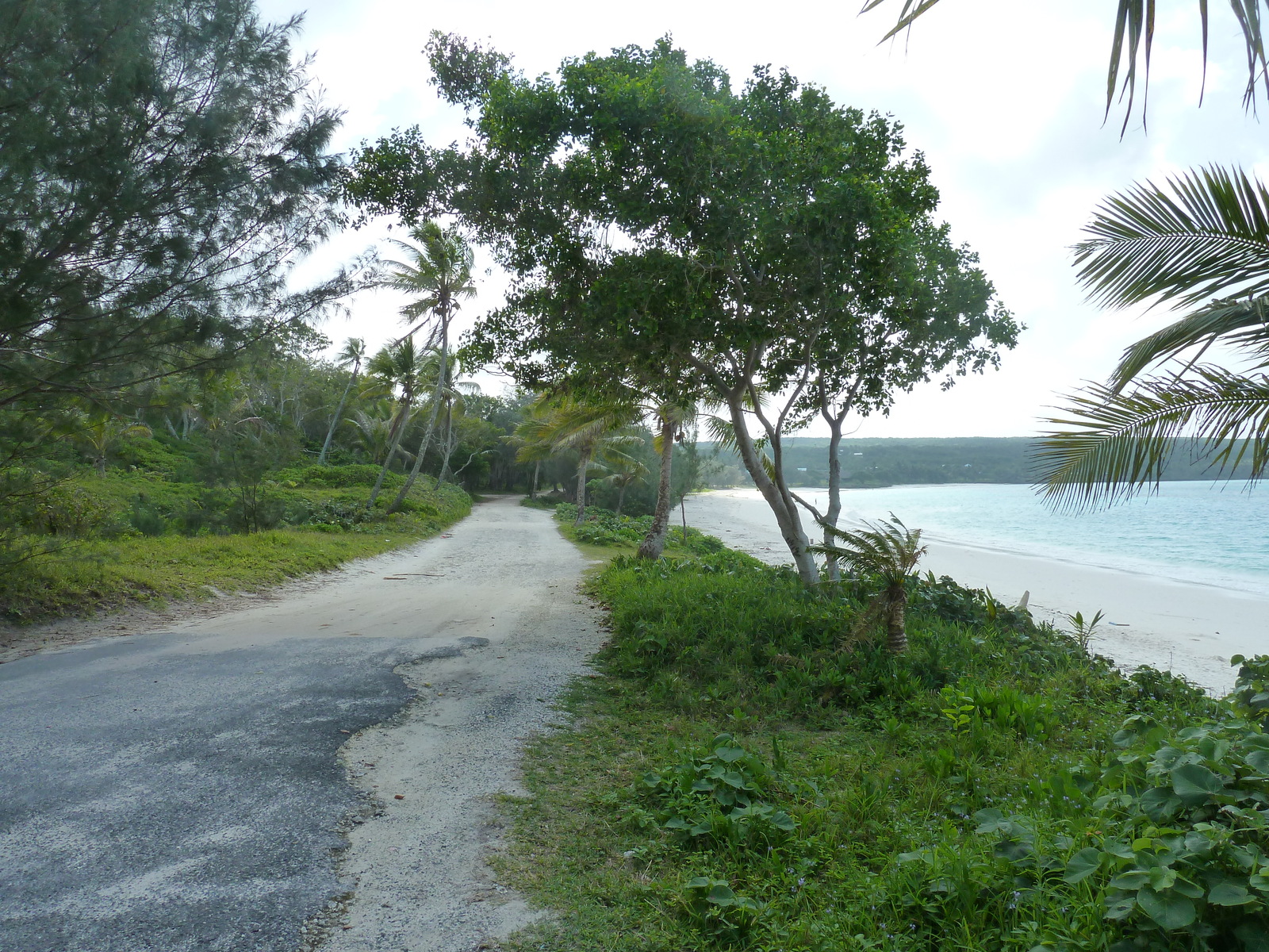 Picture New Caledonia Lifou Chateaubriant bay 2010-05 100 - Sight Chateaubriant bay