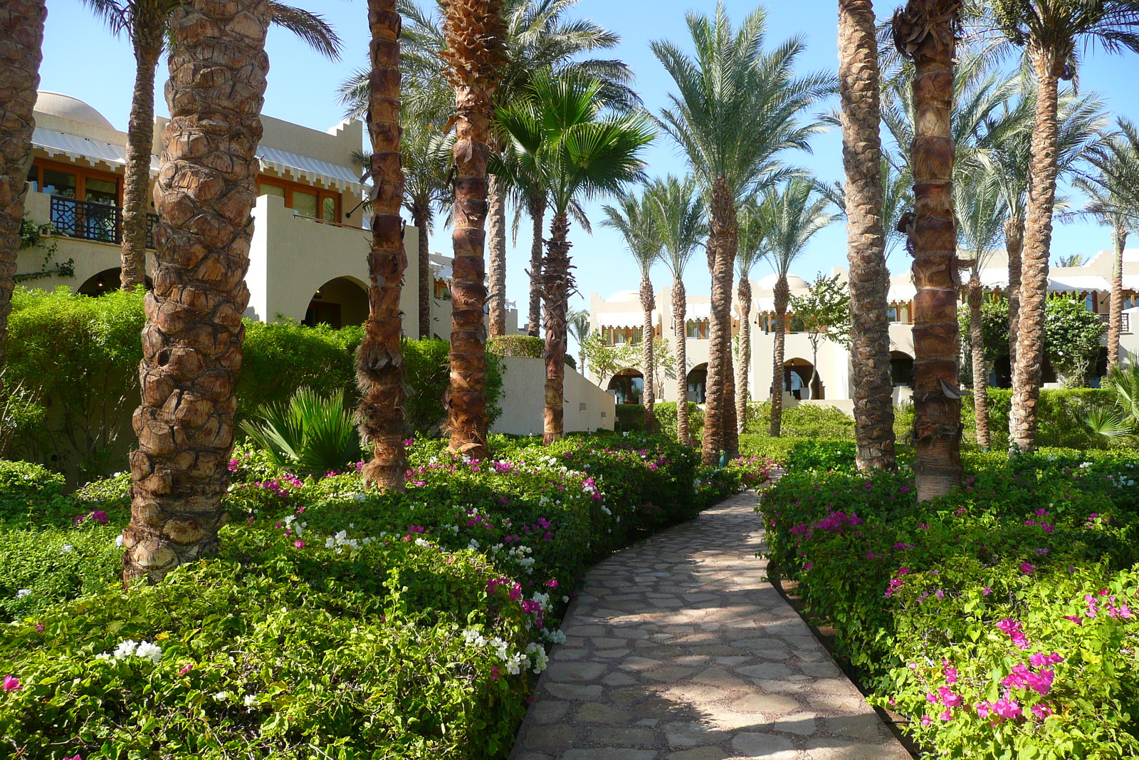 Picture Egypt Sharm el Sheikh Four Seasons Hotel 2008-06 85 - Photographers Four Seasons Hotel