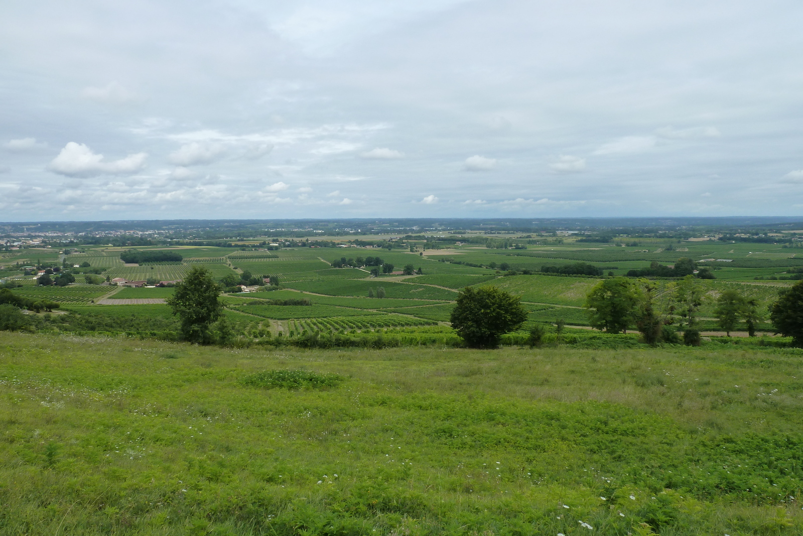 Picture France Monbazillac 2010-08 138 - Trail Monbazillac