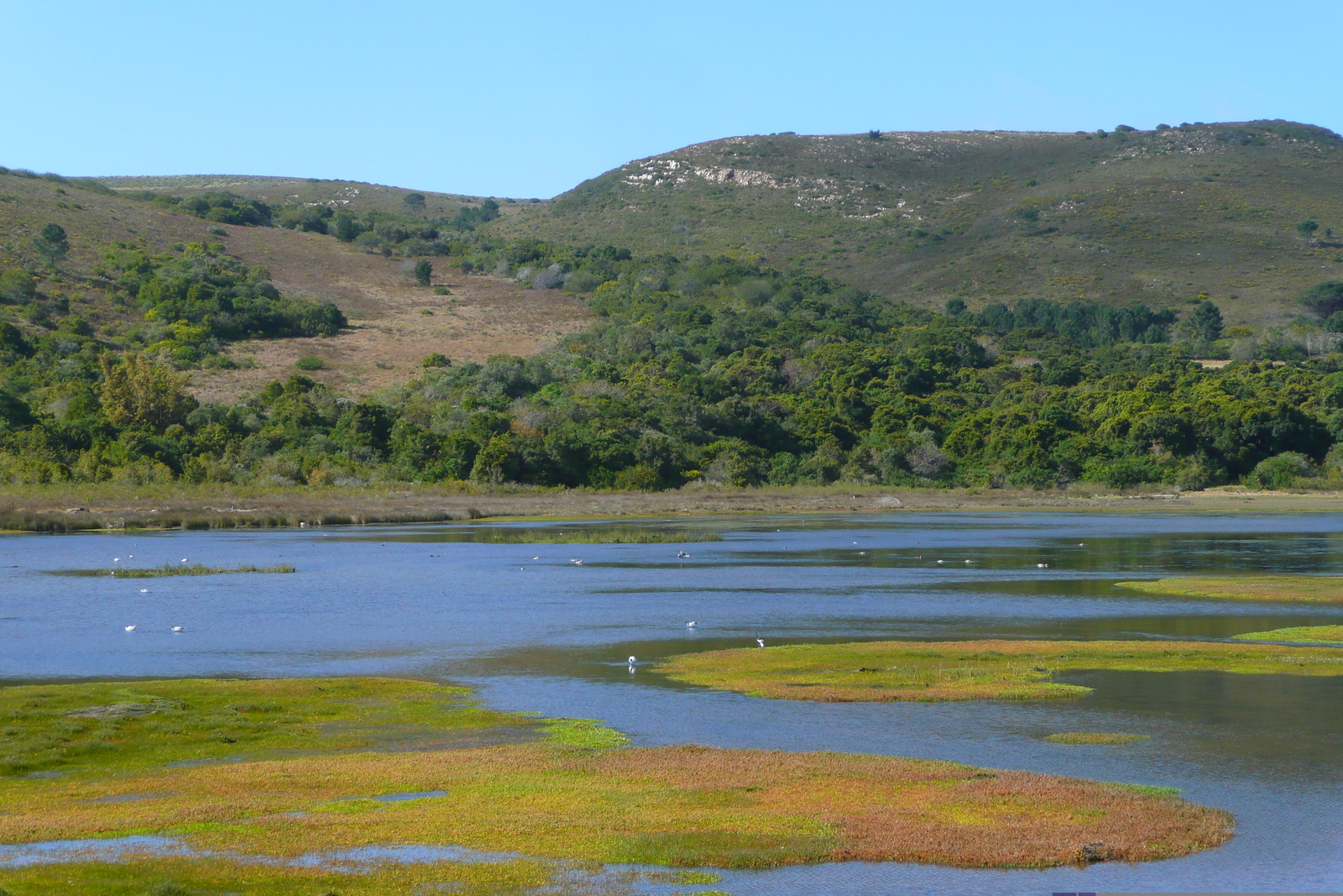 Picture South Africa Knysna Heads 2008-09 39 - Journey Knysna Heads