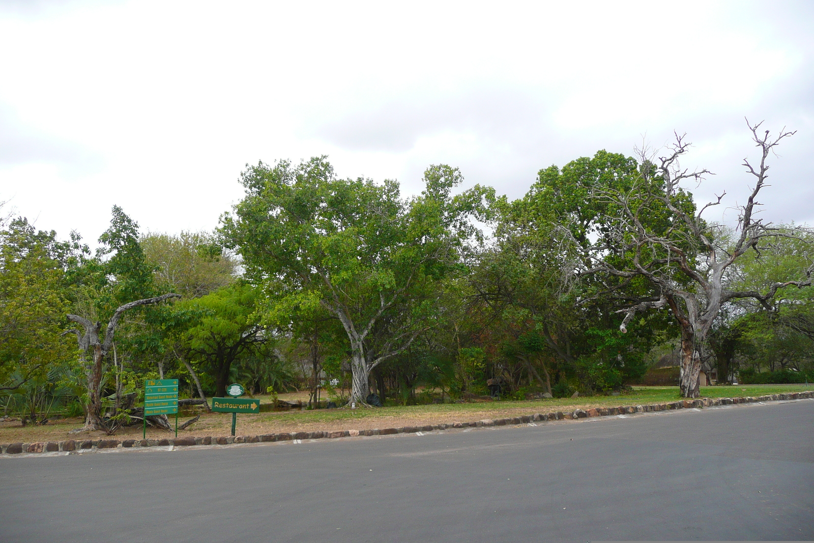 Picture South Africa Kruger National Park 2008-09 6 - Discover Kruger National Park