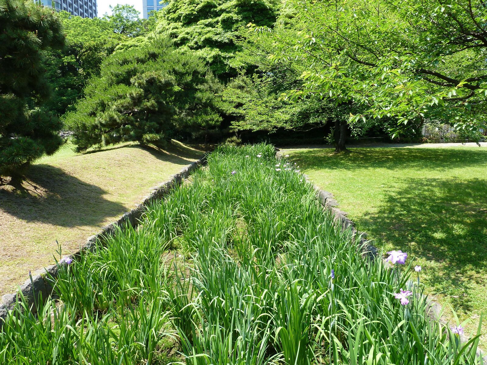 Picture Japan Tokyo Hama rikyu Gardens 2010-06 109 - Views Hama rikyu Gardens