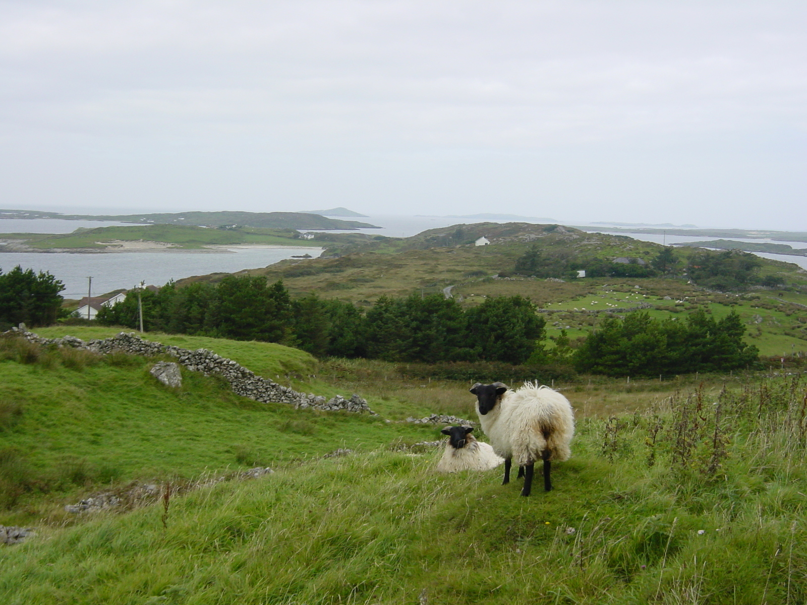 Picture Ireland Connemara 2003-09 36 - Picture Connemara