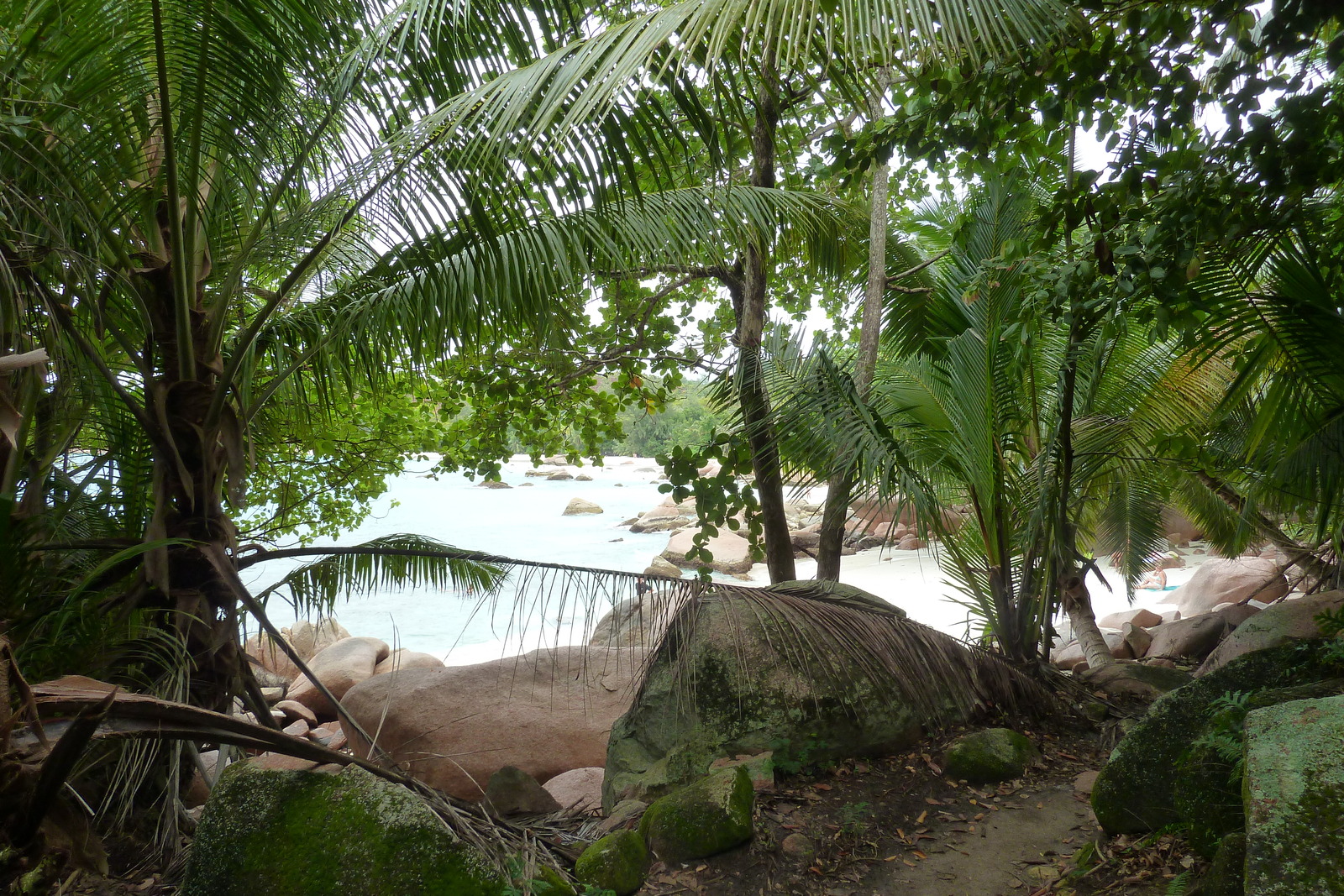 Picture Seychelles Anse Lazio 2011-10 112 - Tourist Anse Lazio