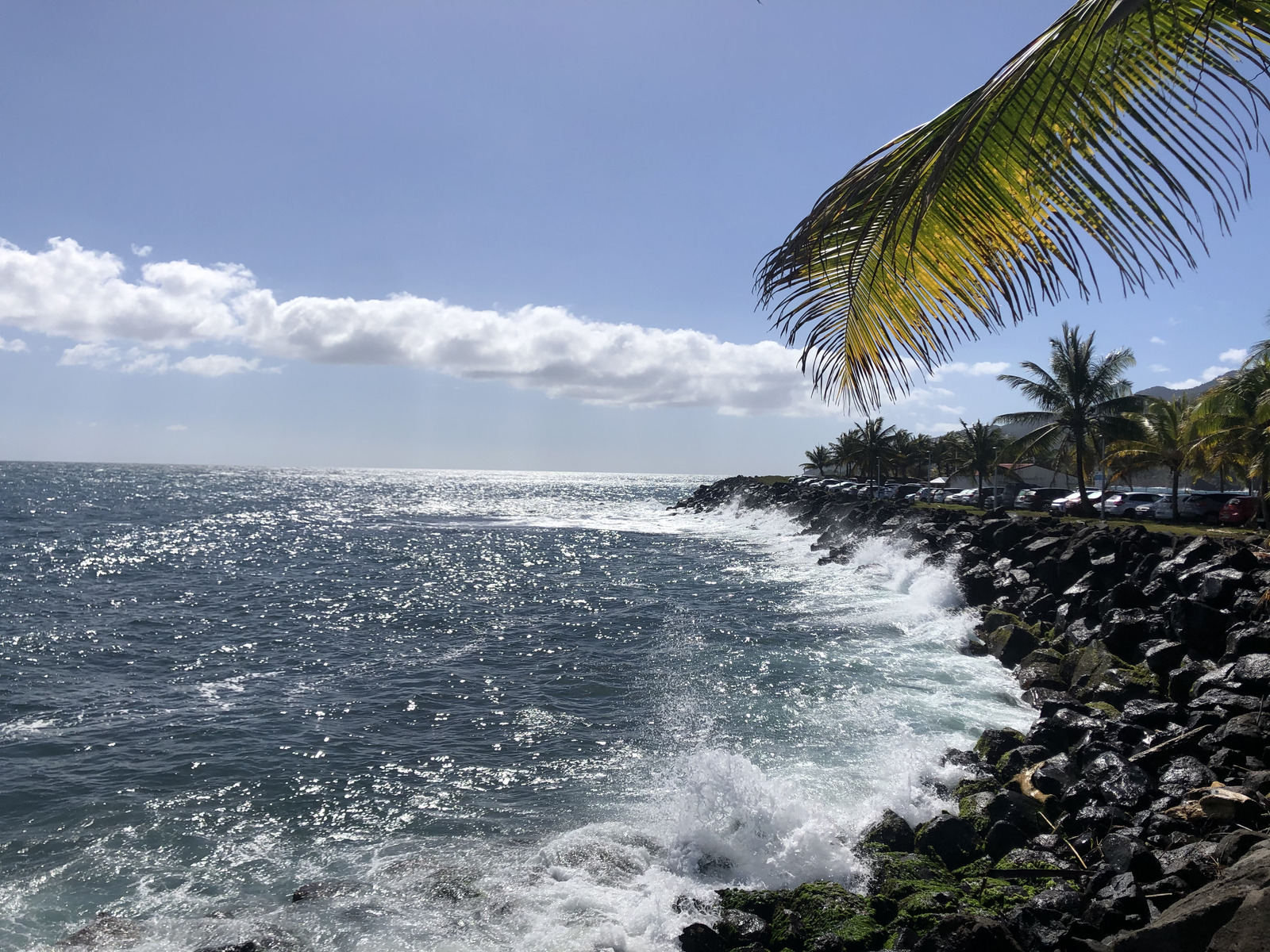 Picture Guadeloupe Trois Rivieres 2021-02 5 - View Trois Rivieres