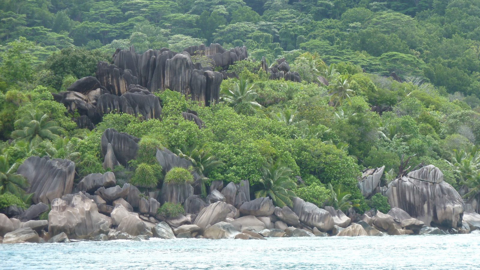 Picture Seychelles 2011-10 101 - Photographers Seychelles