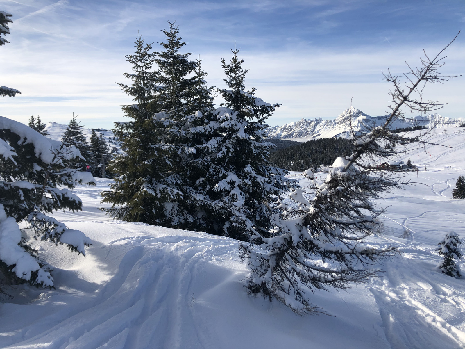 Picture France Praz sur Arly 2019-12 313 - Sightseeing Praz sur Arly