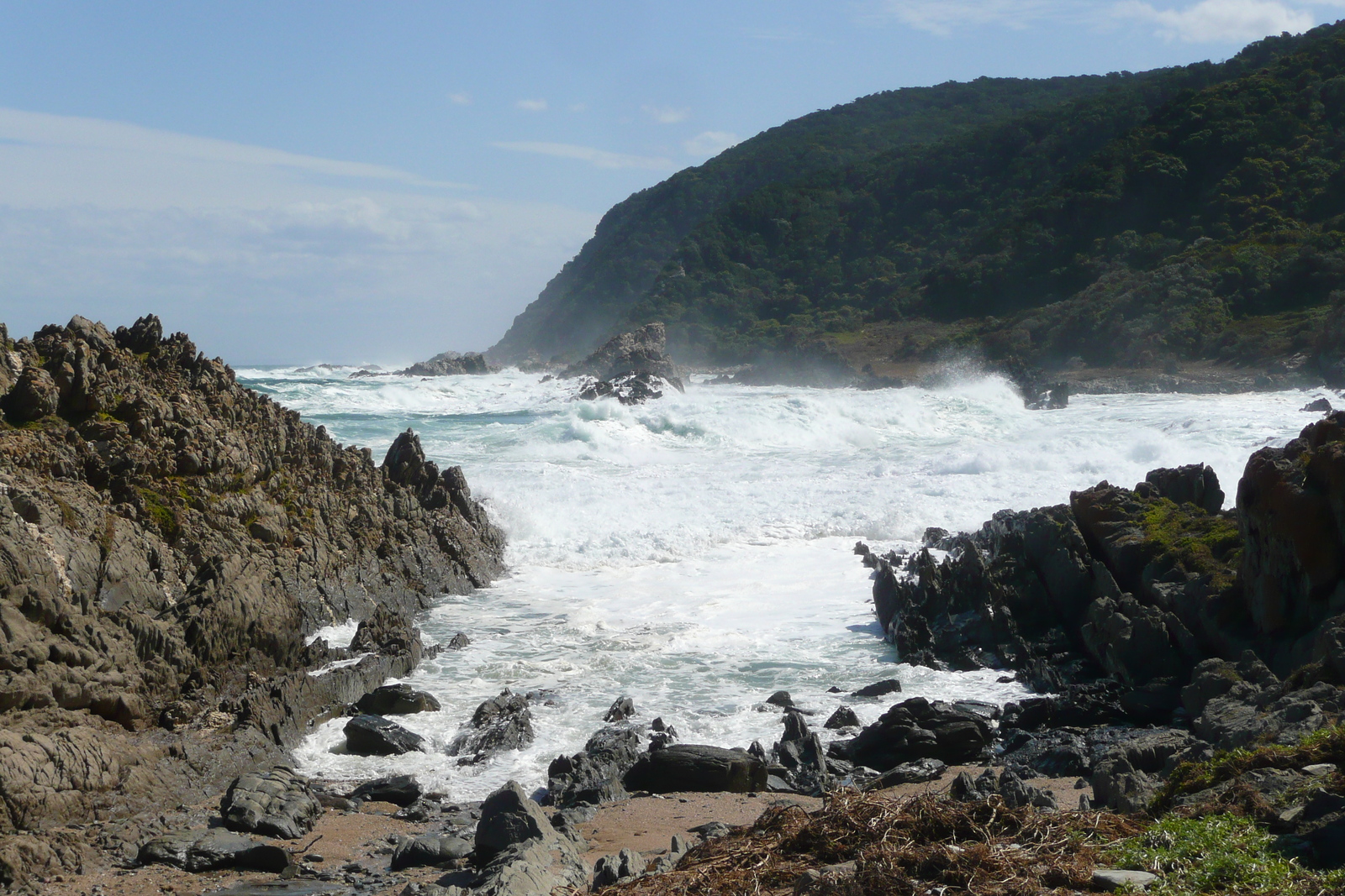 Picture South Africa Tsitsikamma National Park 2008-09 450 - Store Tsitsikamma National Park