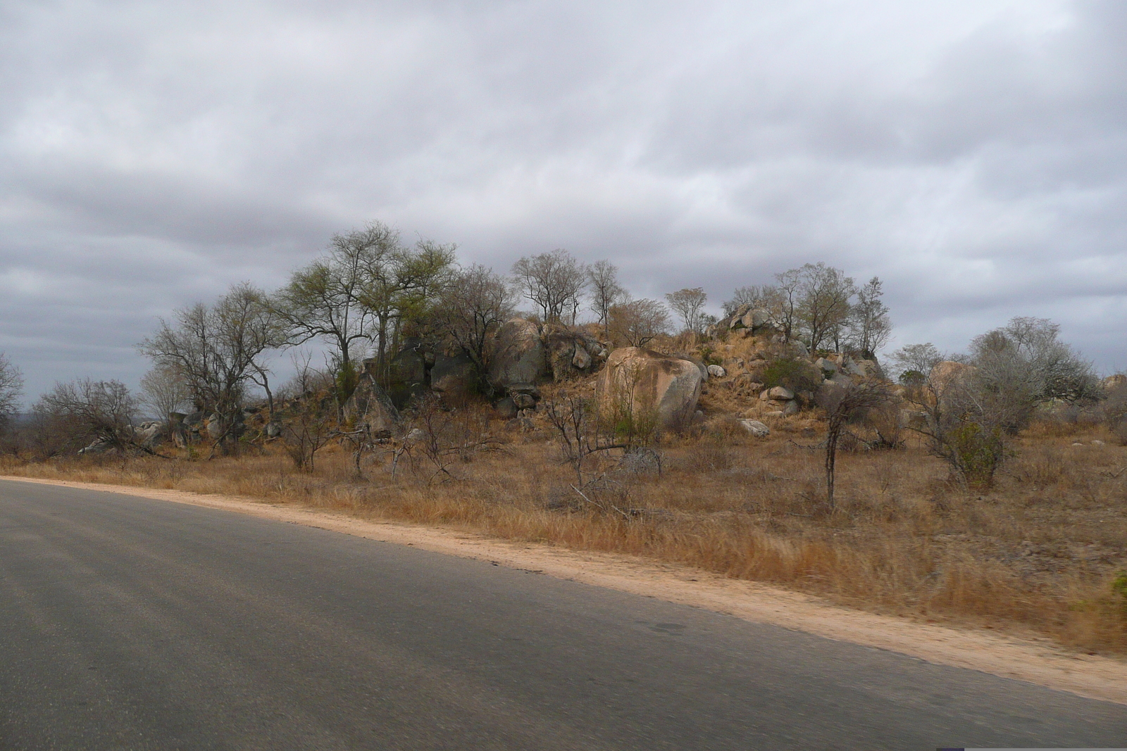 Picture South Africa Kruger National Park 2008-09 181 - Photographer Kruger National Park