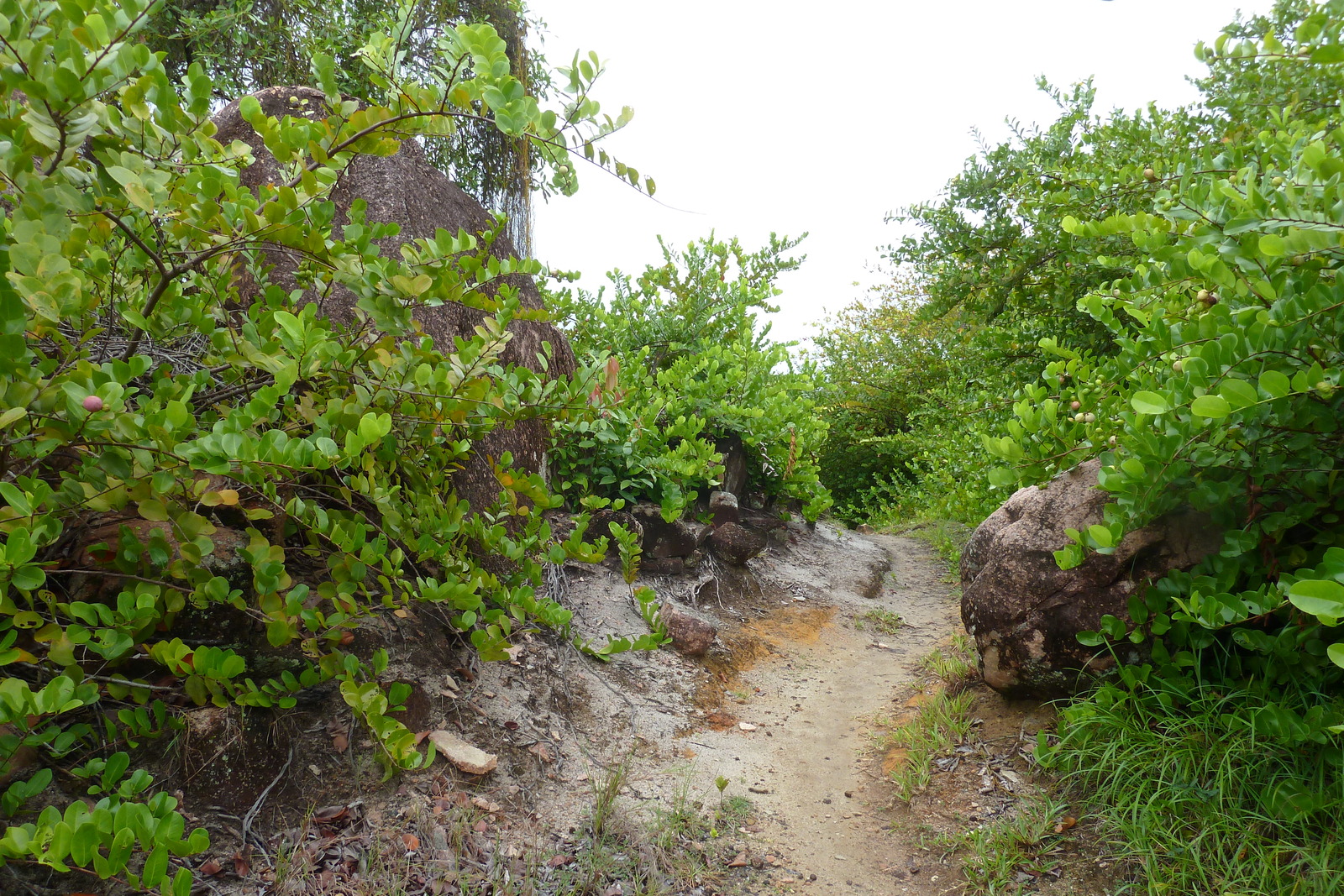 Picture Seychelles Anse Lazio 2011-10 33 - Map Anse Lazio