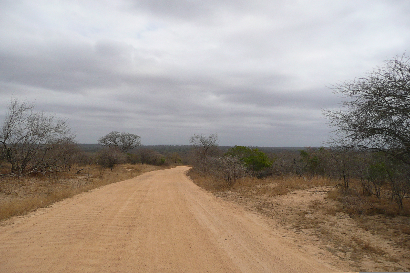 Picture South Africa Kruger National Park 2008-09 189 - Picture Kruger National Park