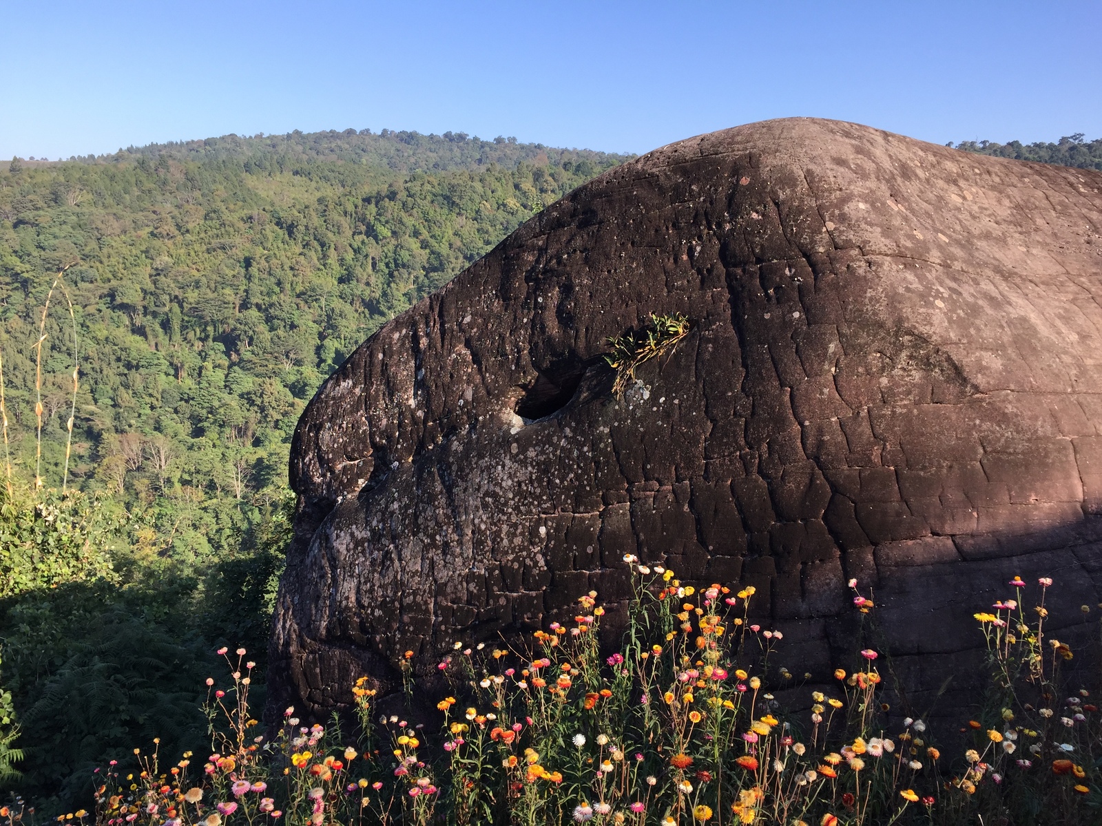 Picture Thailand Phu Hin Rong Kla National Park 2014-12 395 - Trips Phu Hin Rong Kla National Park