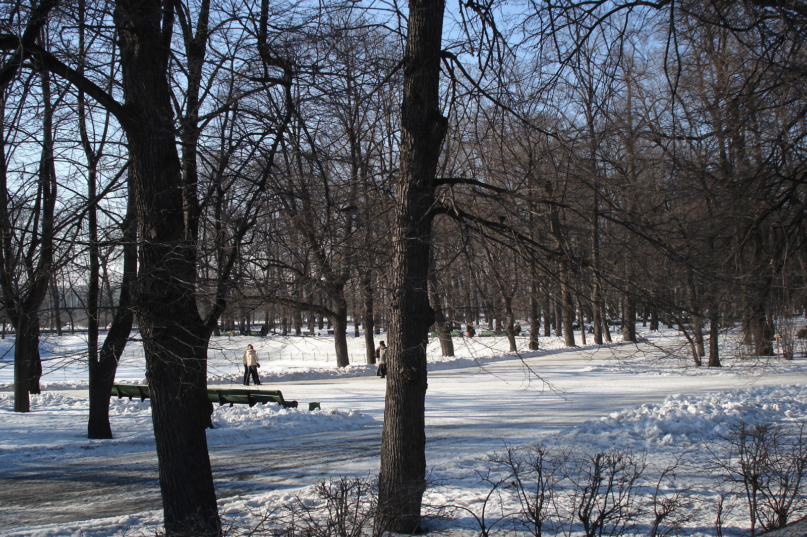 Picture Russia St Petersburg Summer Garden 2006-03 3 - Sight Summer Garden