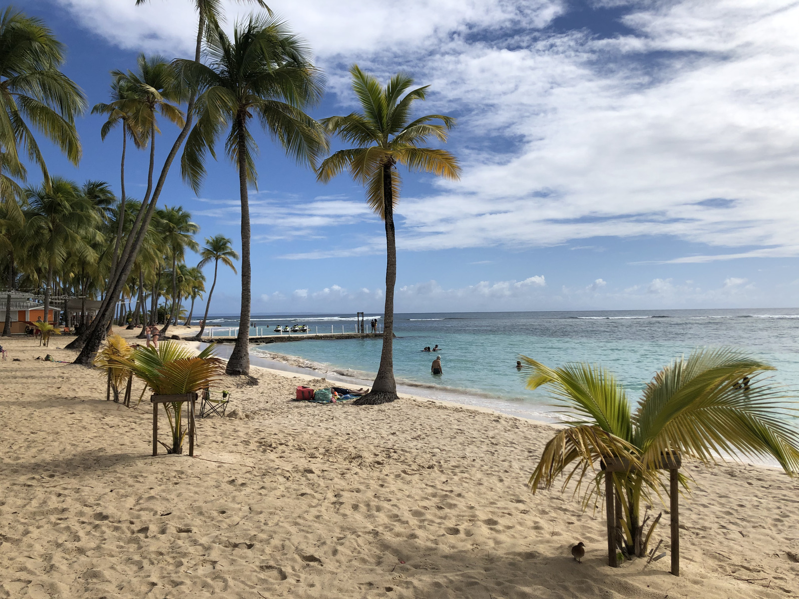 Picture Guadeloupe La Caravelle Beach 2021-02 52 - Photo La Caravelle Beach