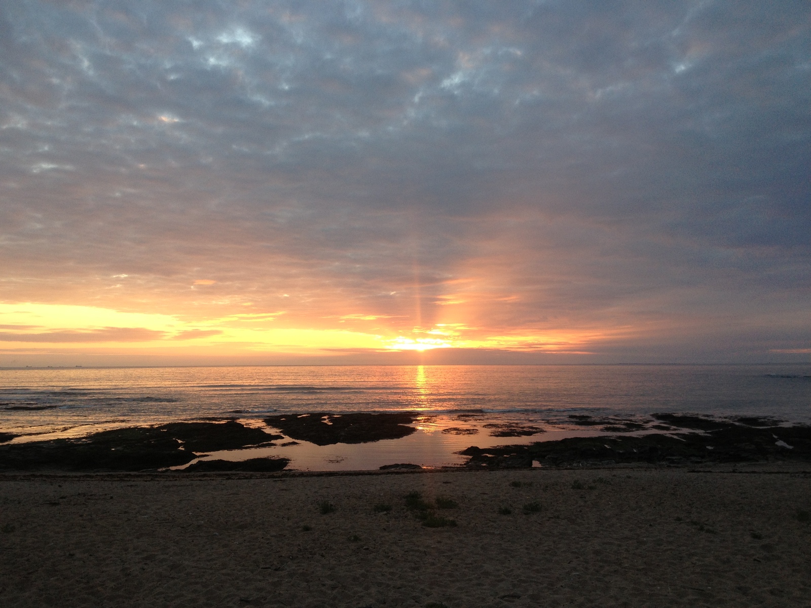 Picture France La Plaine sur mer 2013-06 25 - Photographer La Plaine sur mer