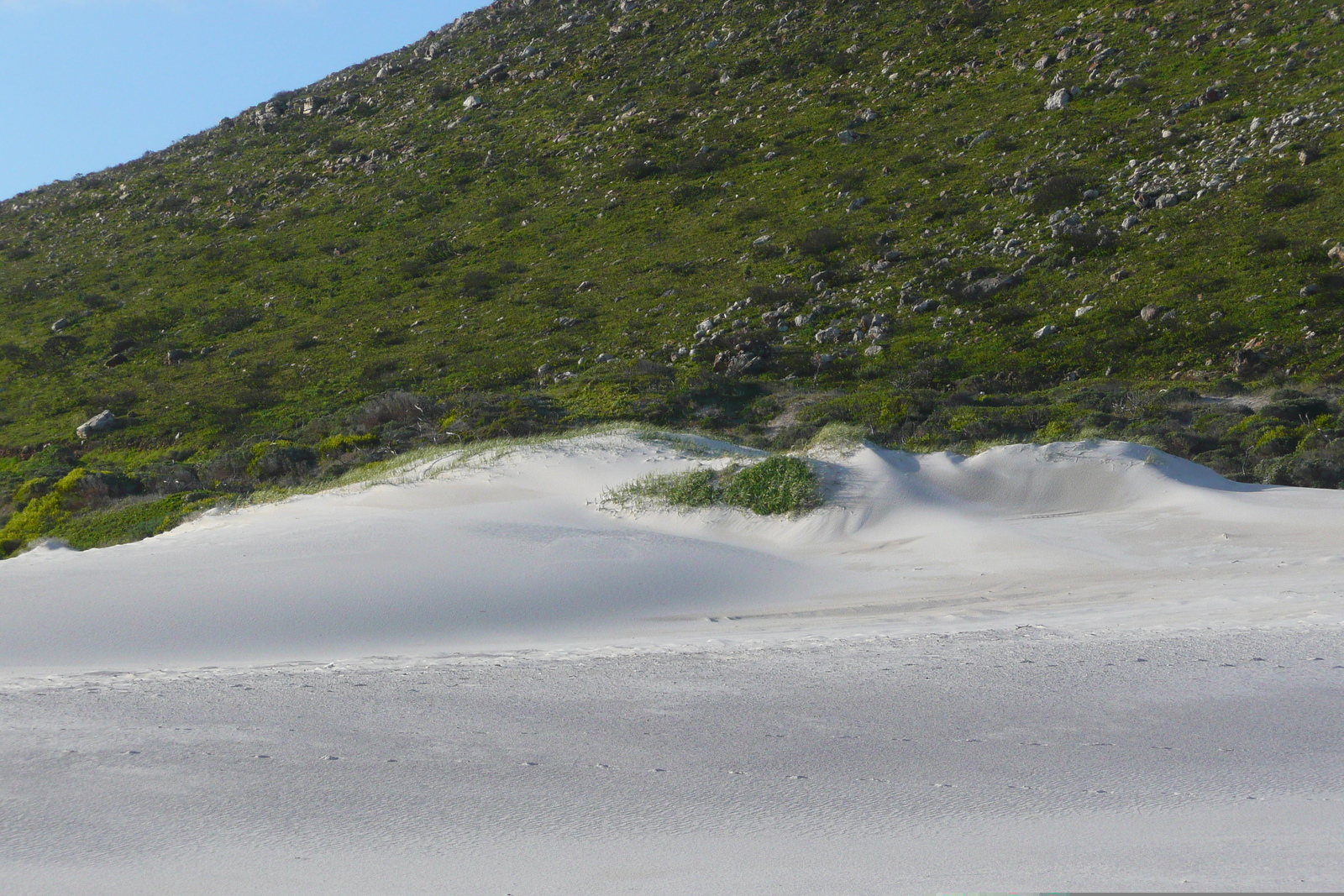 Picture South Africa Cape of Good Hope 2008-09 17 - Map Cape of Good Hope