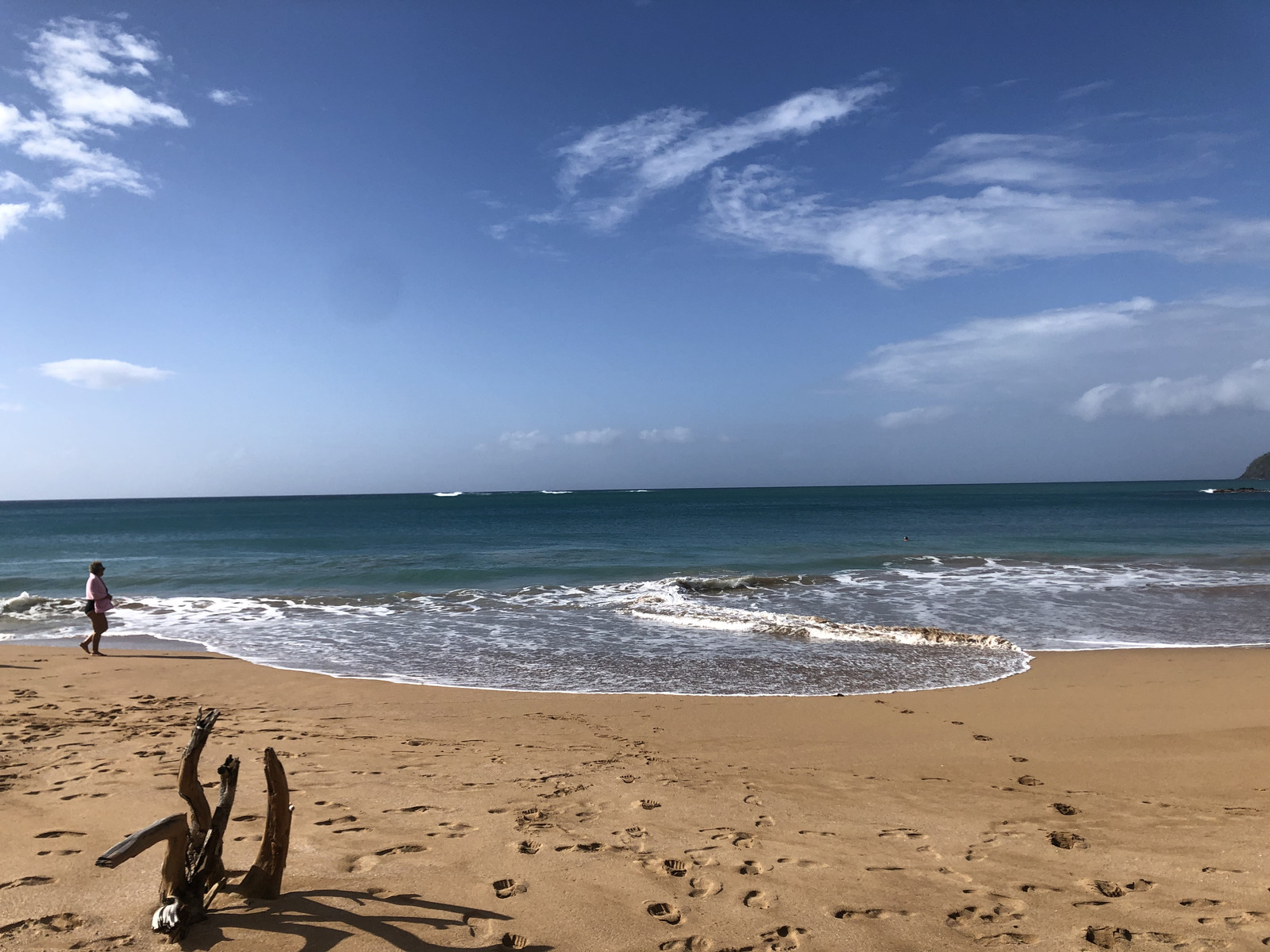 Picture Guadeloupe La Perle Beach 2021-02 95 - Trips La Perle Beach