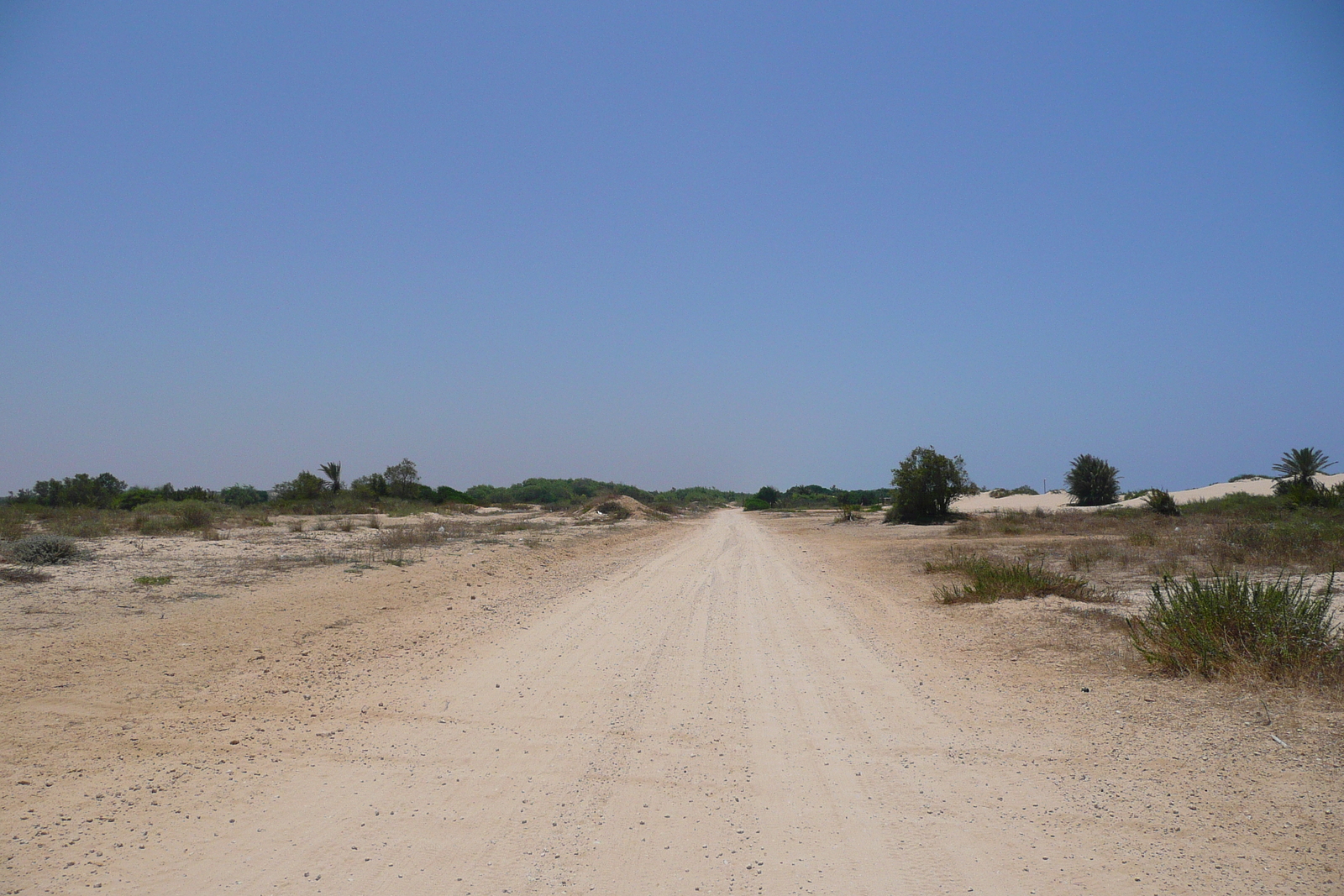 Picture Israel Nitzan 2007-06 99 - Randonee Nitzan