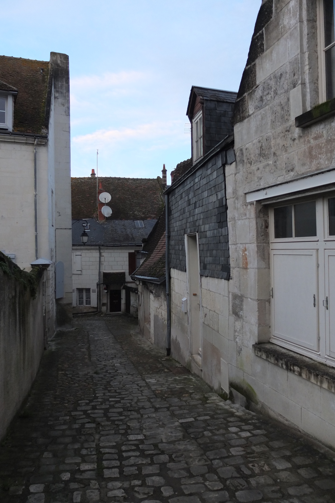 Picture France Loches Castle 2013-01 119 - Perspective Loches Castle