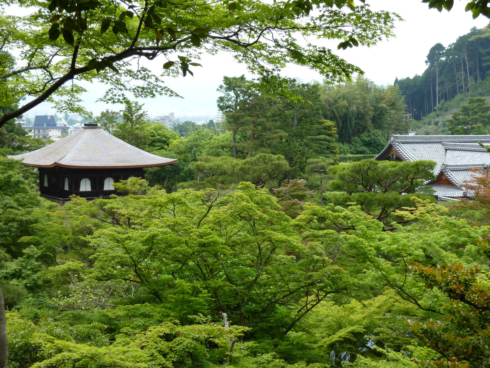 Picture Japan Kyoto Ginkakuji Temple(Silver Pavilion) 2010-06 9 - Flights Ginkakuji Temple(Silver Pavilion)