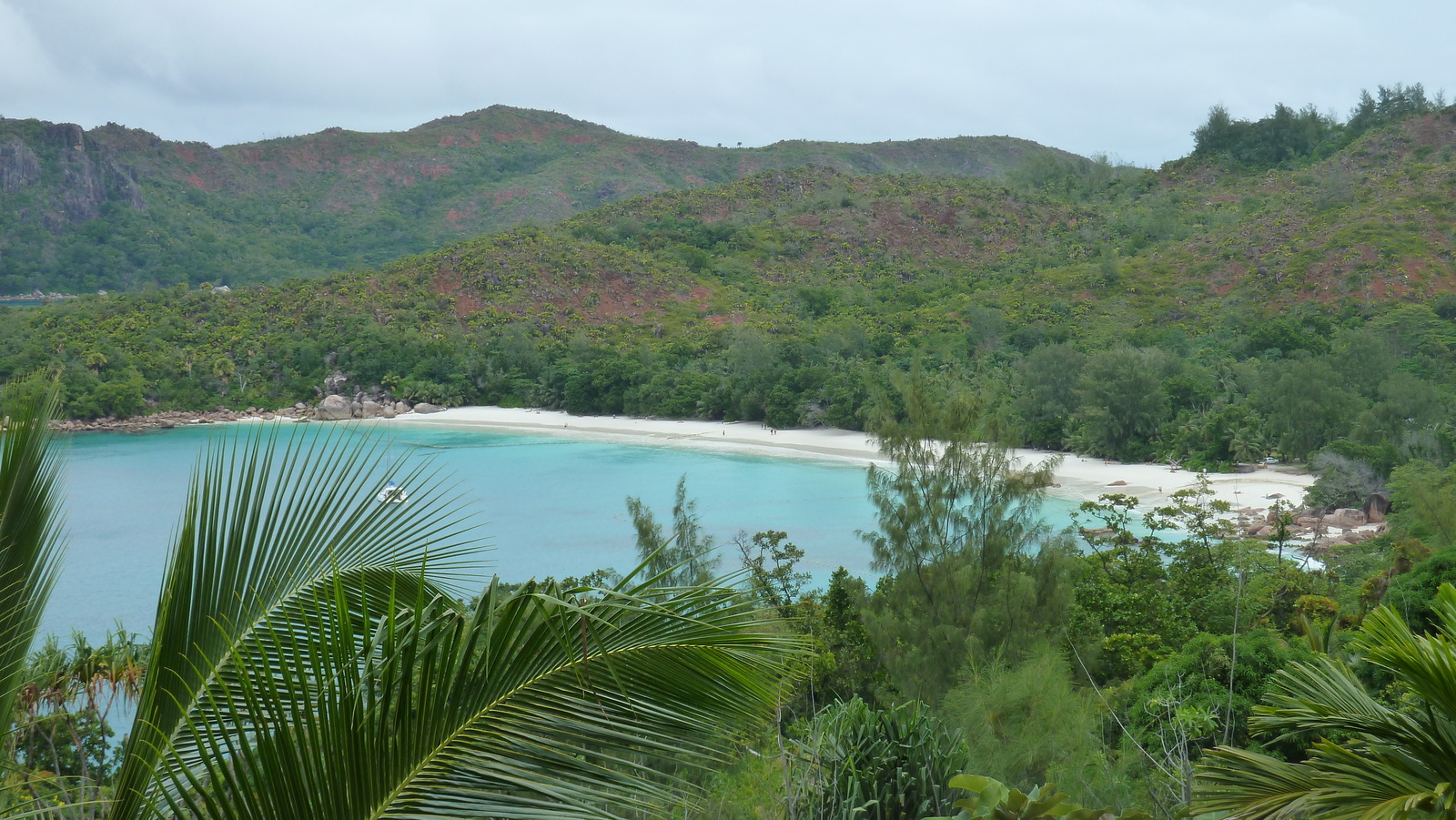 Picture Seychelles 2011-10 160 - Photographer Seychelles