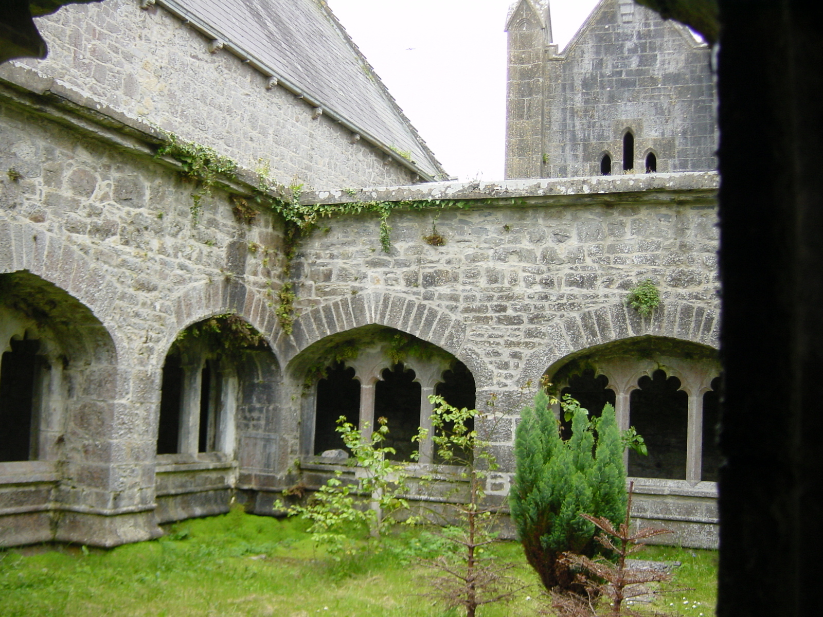 Picture Ireland Limerick County Adare 2004-05 9 - Sightseeing Adare