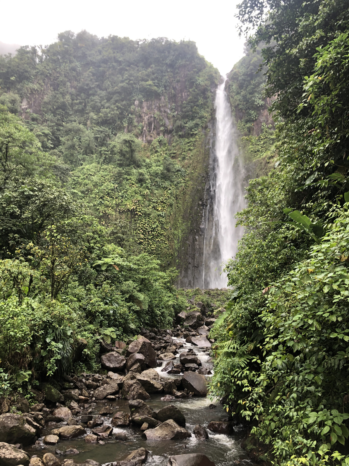 Picture Guadeloupe Carbet Falls 2021-02 42 - Picture Carbet Falls