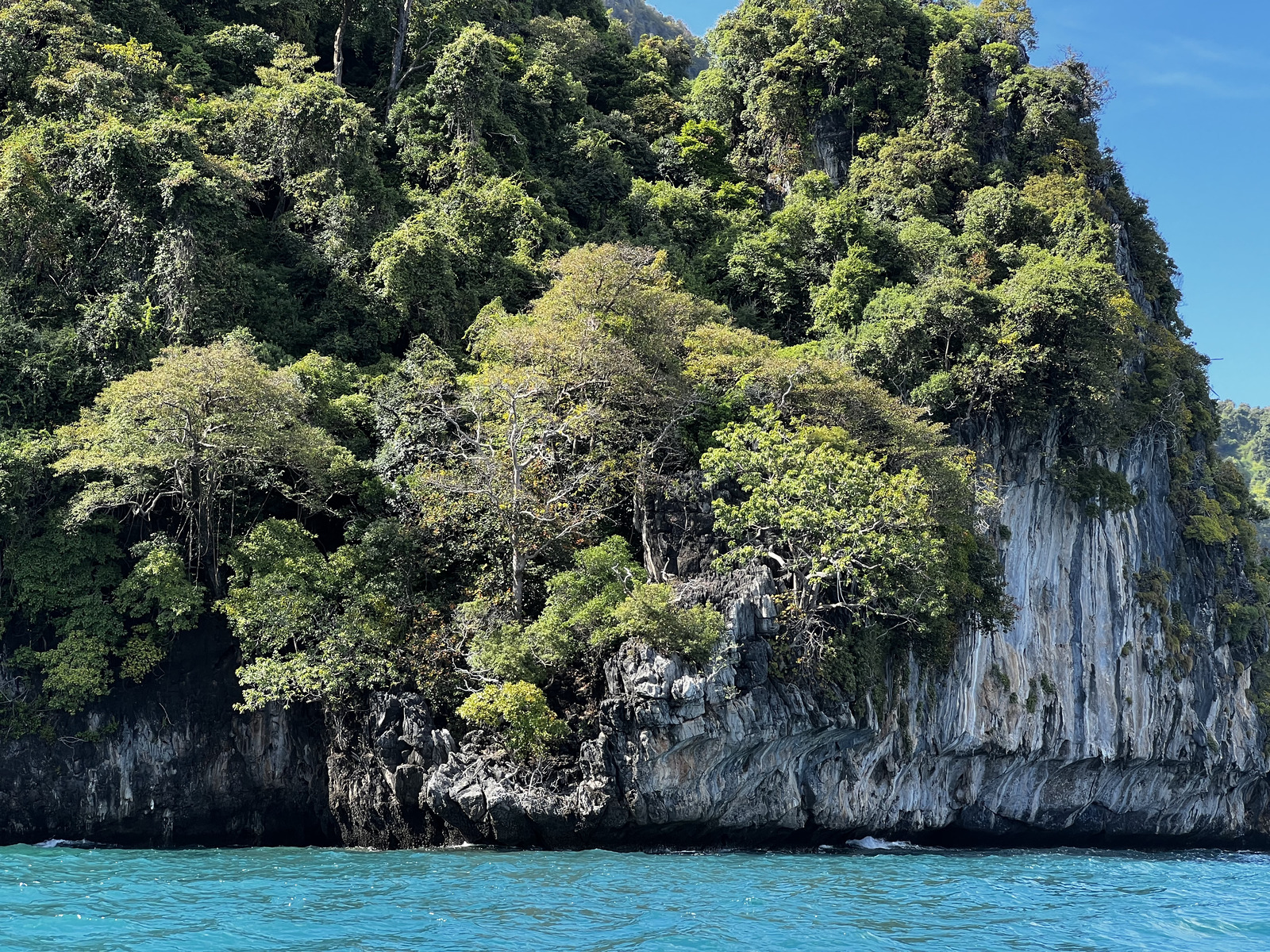 Picture Thailand Ko Phi Phi Ley 2021-12 124 - Discover Ko Phi Phi Ley