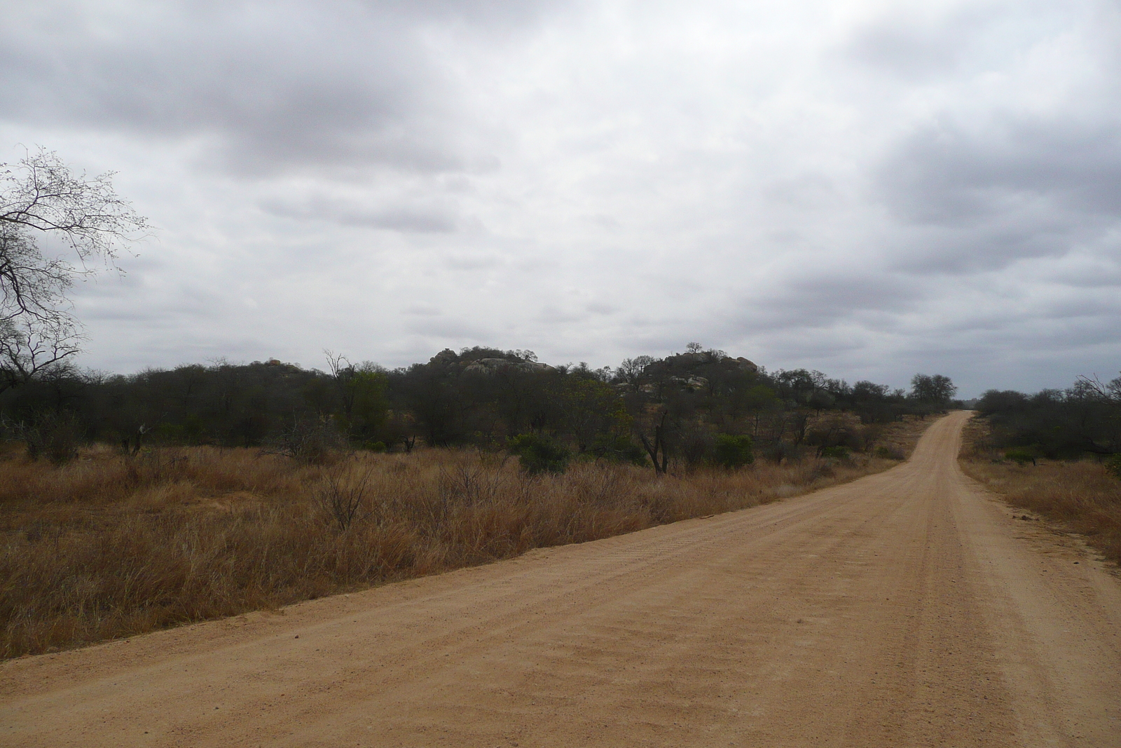 Picture South Africa Kruger National Park 2008-09 14 - Sightseeing Kruger National Park