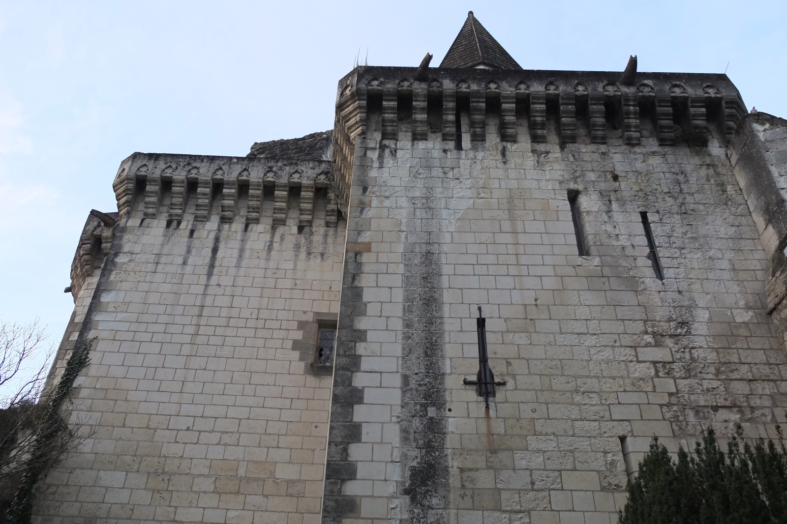 Picture France Loches Castle 2013-01 34 - Flight Loches Castle