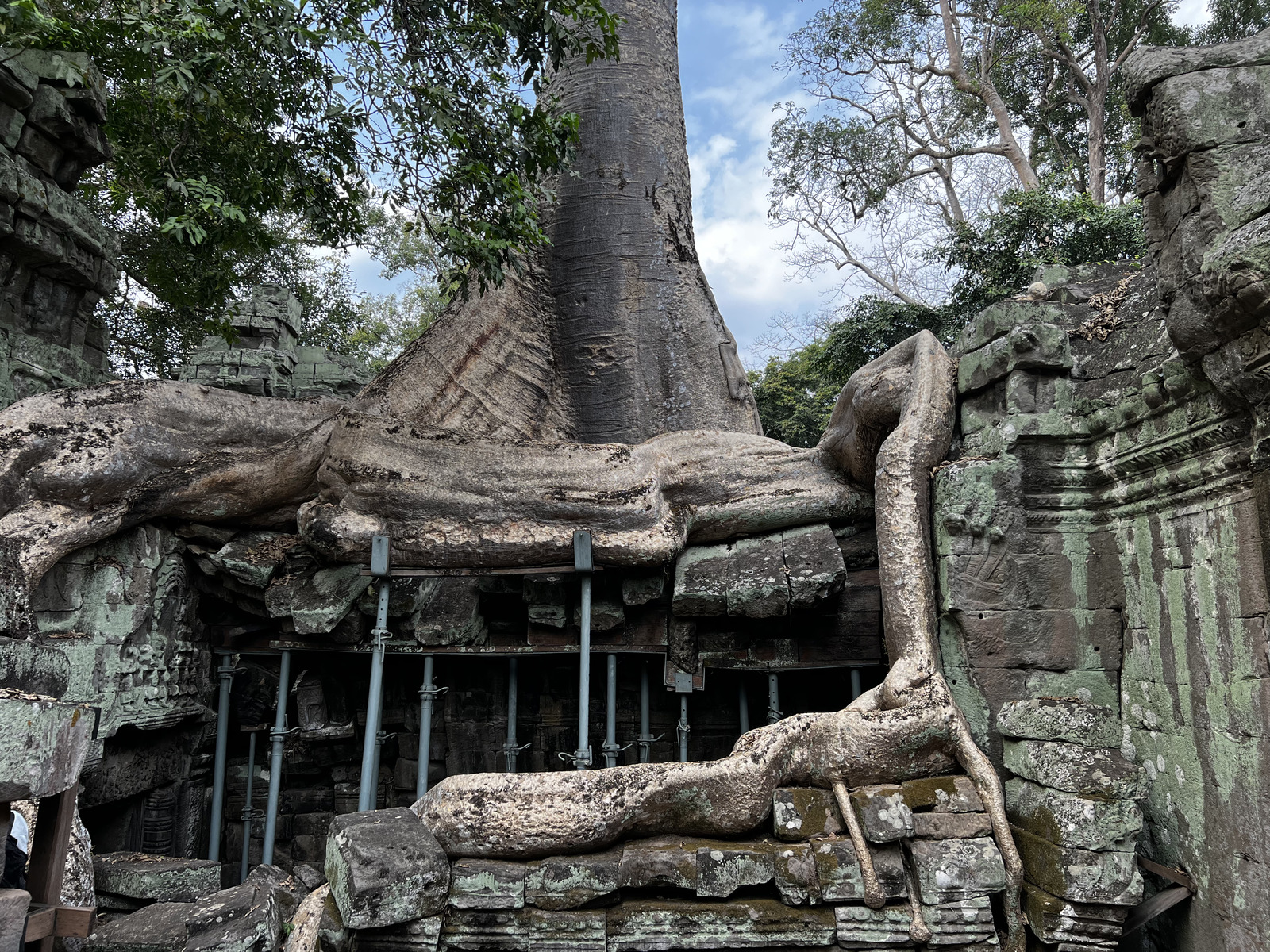 Picture Cambodia Siem Reap Ta Prohm 2023-01 33 - Sight Ta Prohm