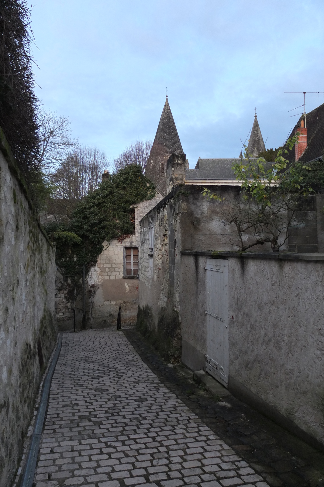 Picture France Loches Castle 2013-01 94 - Tourist Places Loches Castle