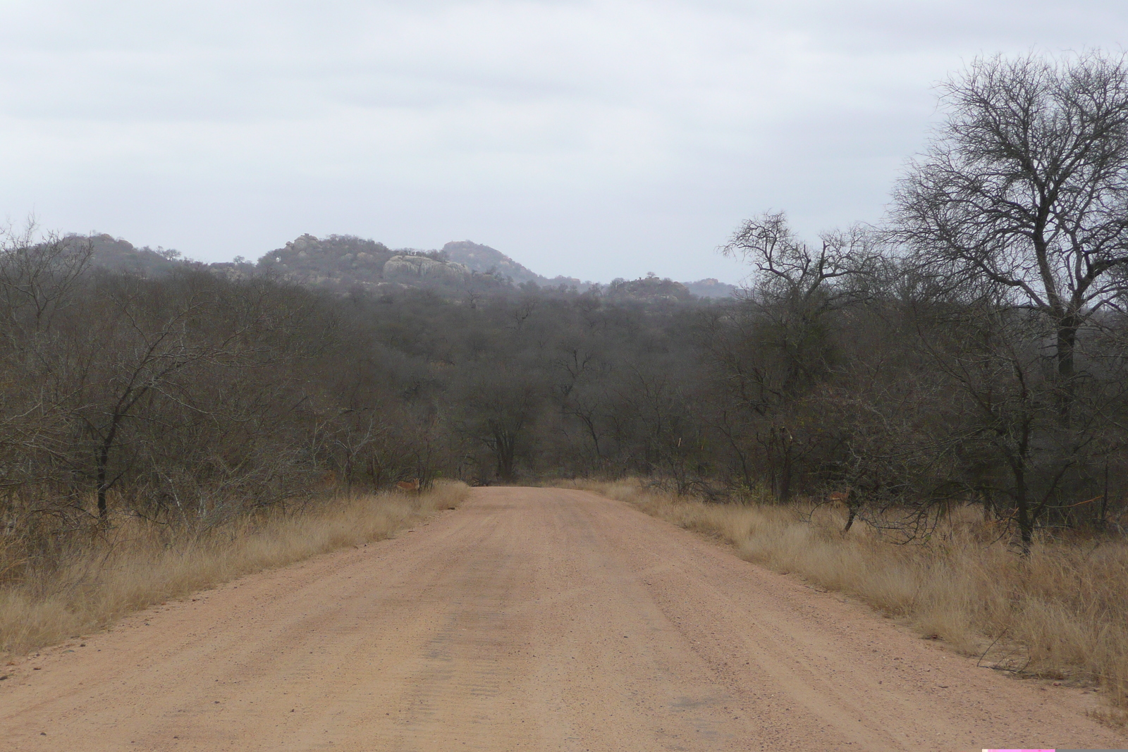 Picture South Africa Kruger National Park 2008-09 73 - Randonee Kruger National Park