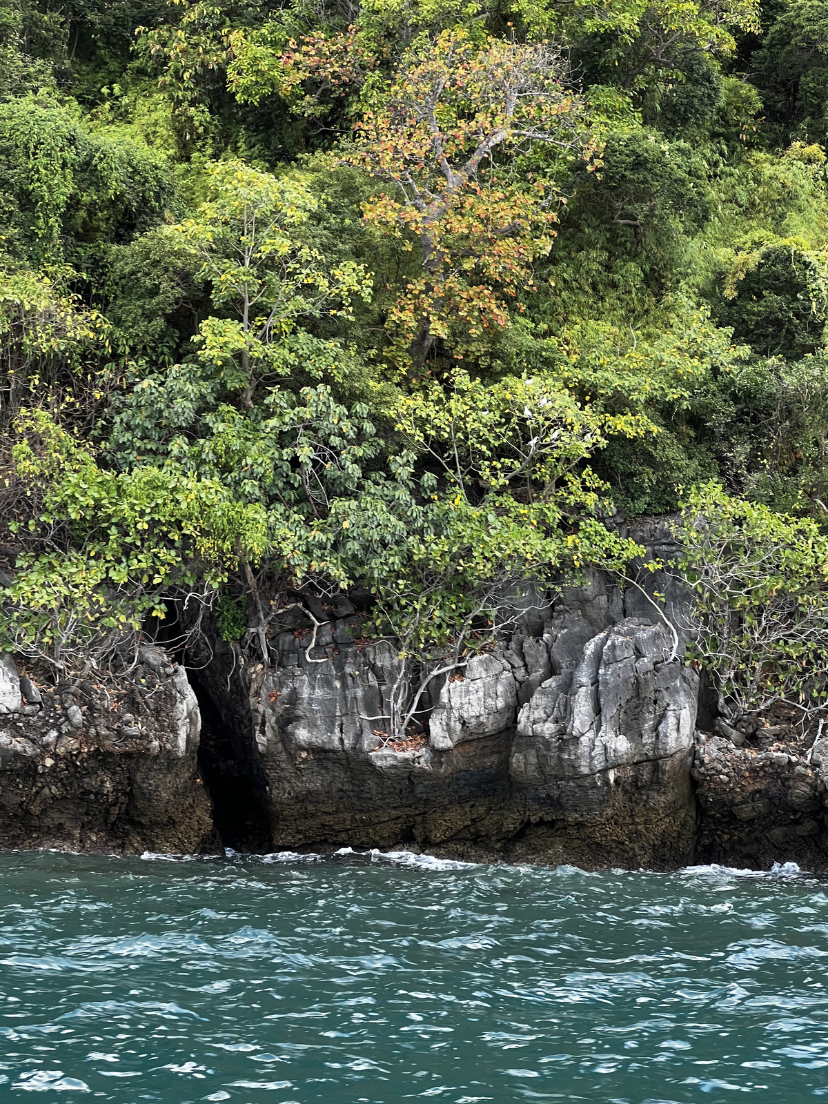 Picture Thailand Ko Phi Phi Ley 2021-12 82 - Visit Ko Phi Phi Ley