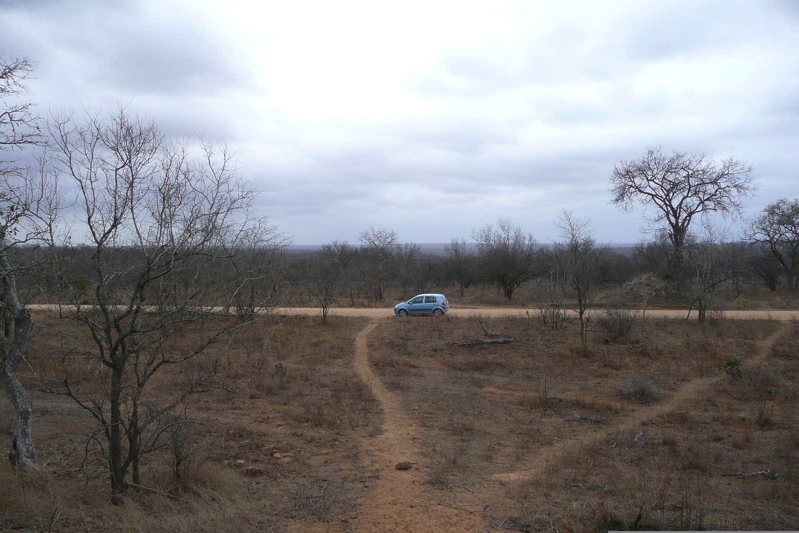 Picture South Africa Kruger National Park 2008-09 92 - Car Rental Kruger National Park